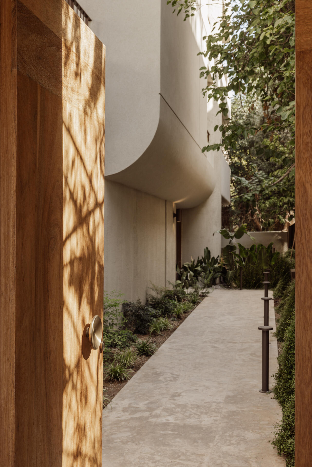 The approach to the building entrance sets the tone immediately. A timber gate opens onto a narrow, planted pathway where soft greenery lines a pale stone walkway, guiding visitors forward at an unhurried pace. Overhead, the building’s curved form gently overhangs the path, casting shifting shadows across textured walls.