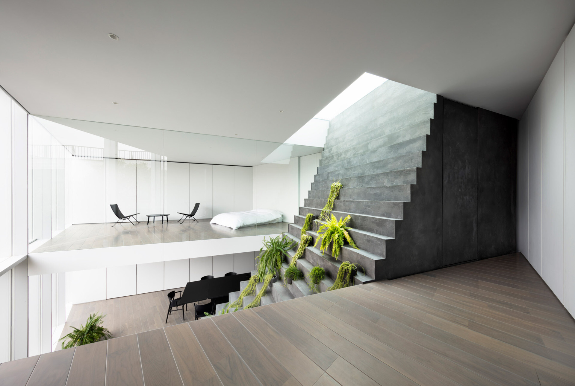 A minimalist Tokyo home where a single staircase starts in the garden, continues indoors, and rises toward a skylight, turning everyday movement into the home’s most striking architectural feature.