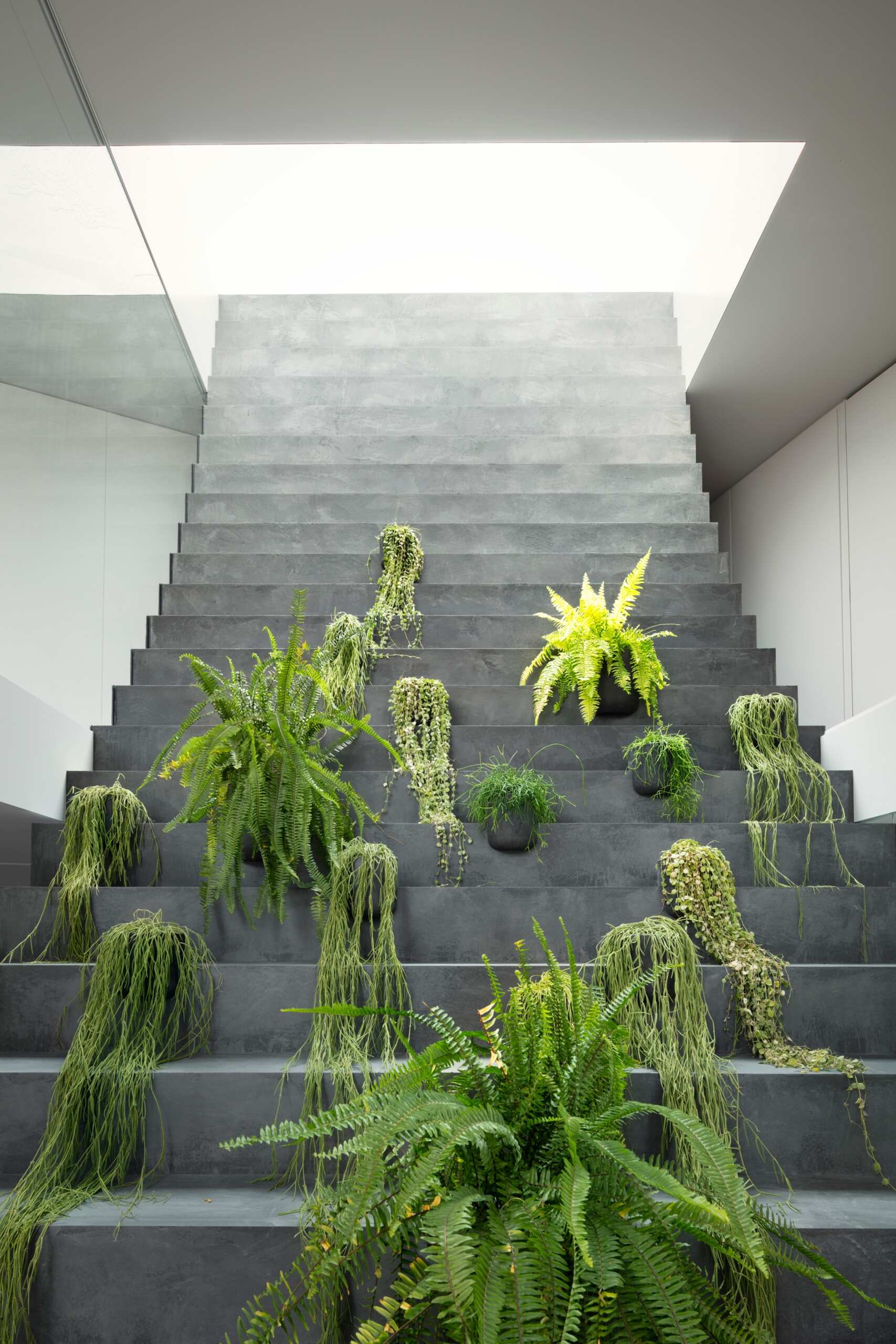 A minimalist Tokyo home where a single staircase starts in the garden, continues indoors, and rises toward a skylight, turning everyday movement into the home’s most striking architectural feature.