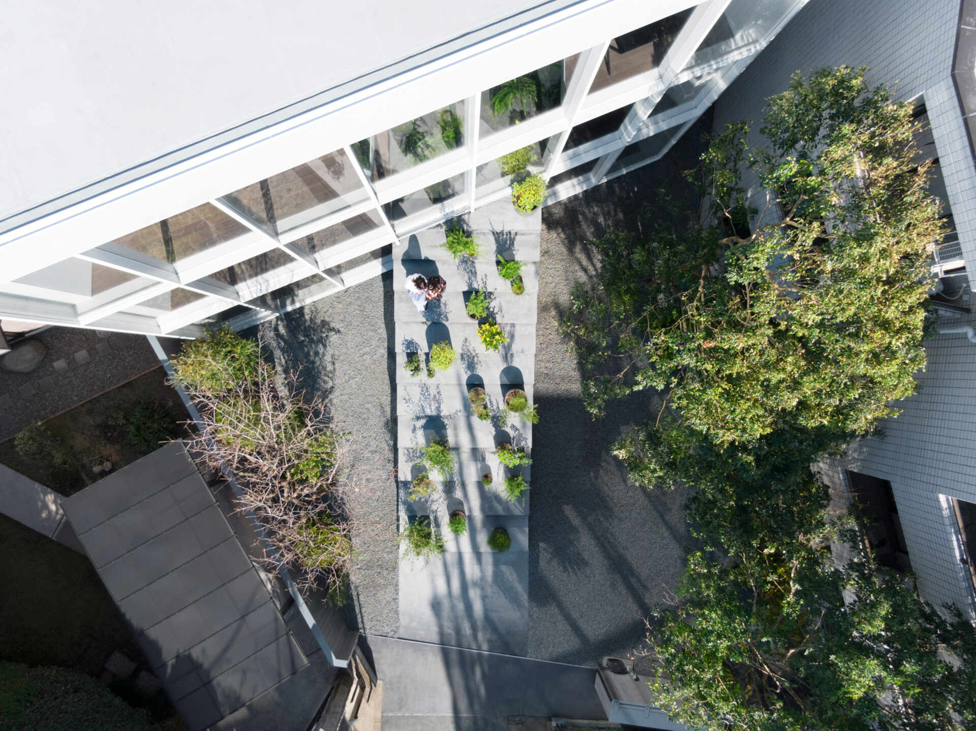 A minimalist Tokyo home where a single staircase starts in the garden, continues indoors, and rises toward a skylight, turning everyday movement into the home’s most striking architectural feature.