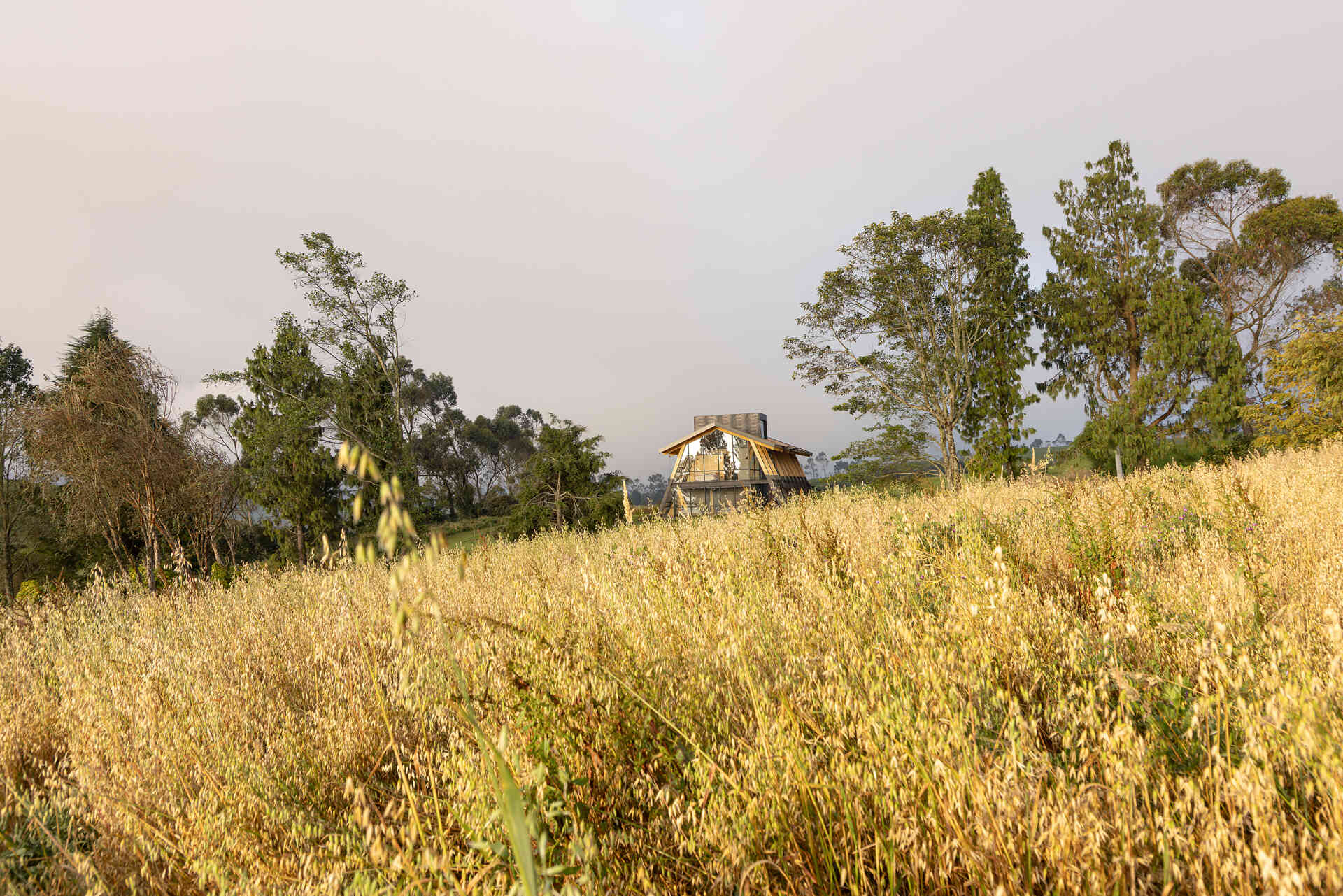 Ten wooden ribs define the rhythm of this Ecuadorian home. Large eaves, a brick base, and a covered ramp shape how the house meets the slope and protects against sun and rain.