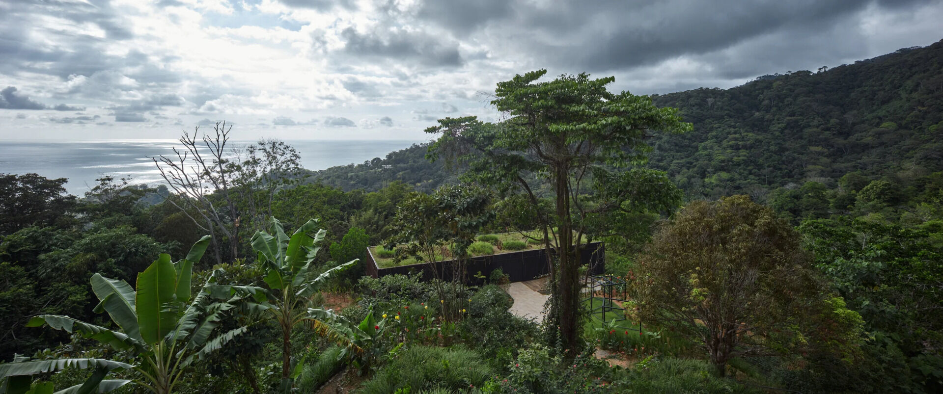A jungle hillside home in Costa Rica disappears beneath a lush green roof, blending steel, glass and burnt timber into the surrounding forest canopy.