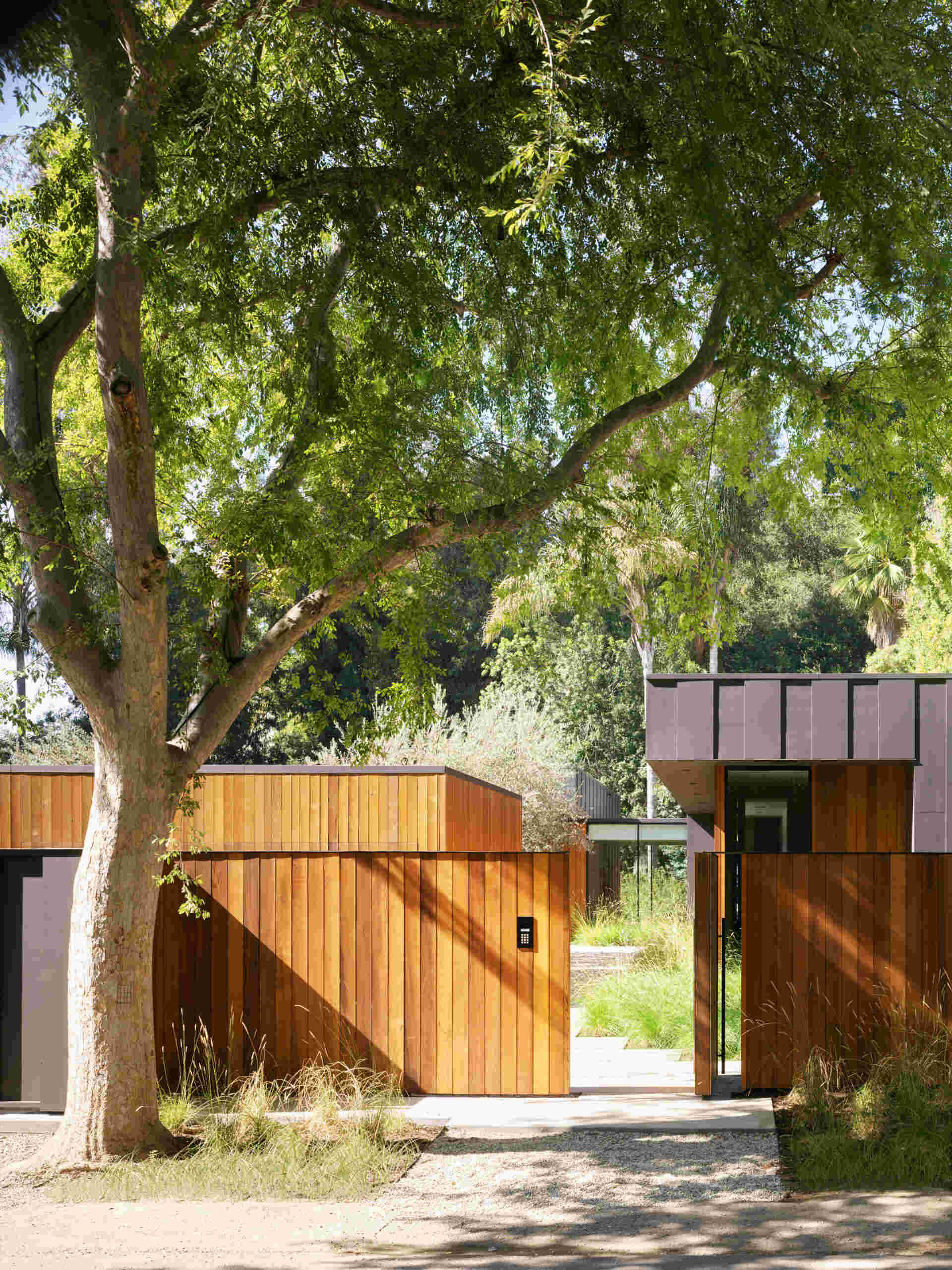 Una casa baja en Los Ángeles está revestida con cedro rojo occidental, tablas y listones de carbón, con adoquines de concreto y pasto silvestre que conducen a un patio de olivos.
