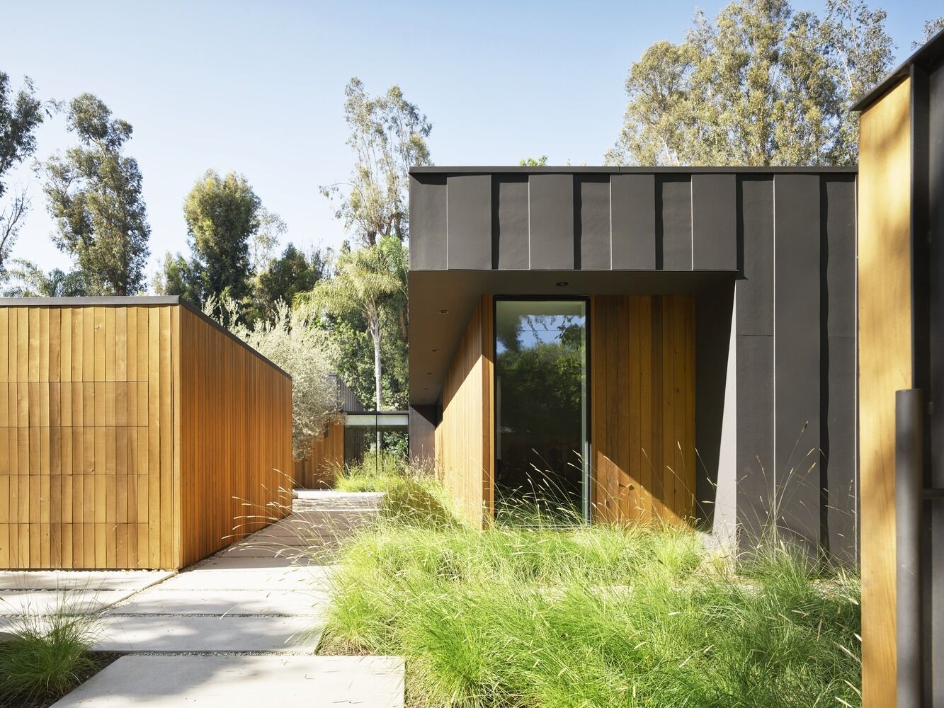 Una casa baja en Los Ángeles está revestida con cedro rojo occidental, tablas y listones de carbón, con adoquines de concreto y pasto silvestre que conducen a un patio de olivos.