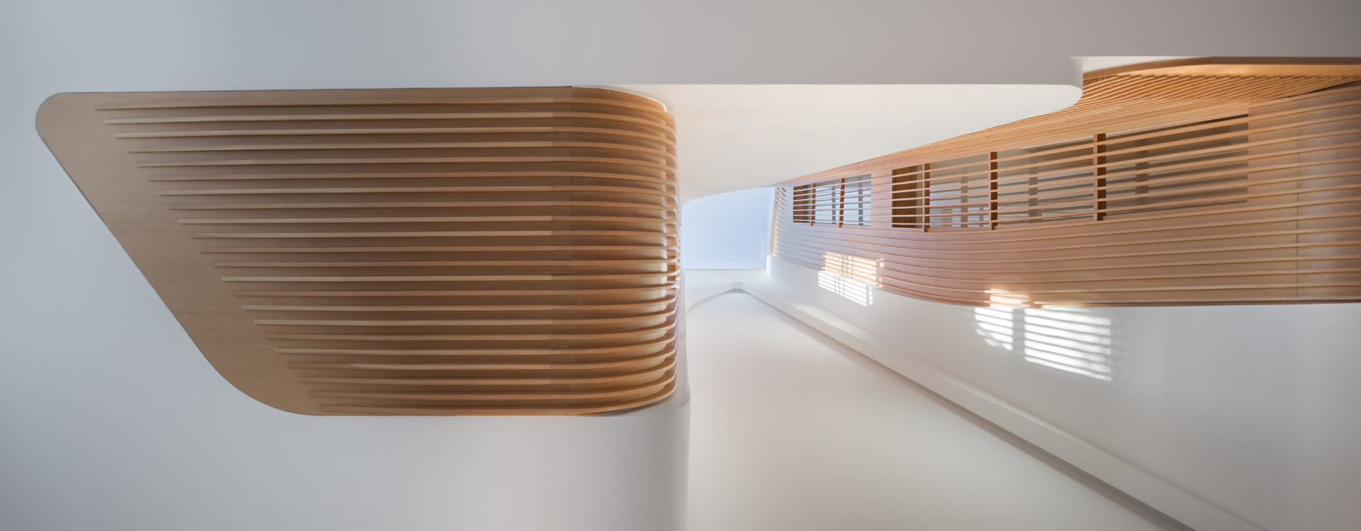 Wood slat detailing leads to a central skylight that draws daylight deep into the heart of the house.