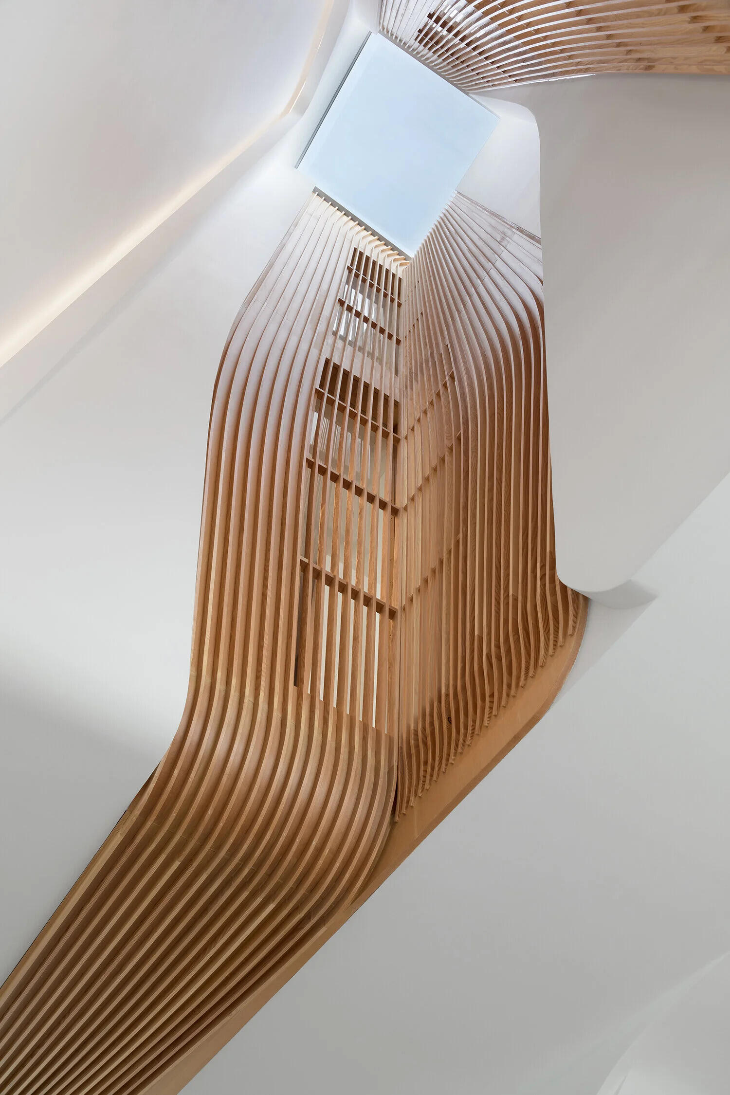 Wood slat detailing leads to a central skylight that draws daylight deep into the heart of the house.