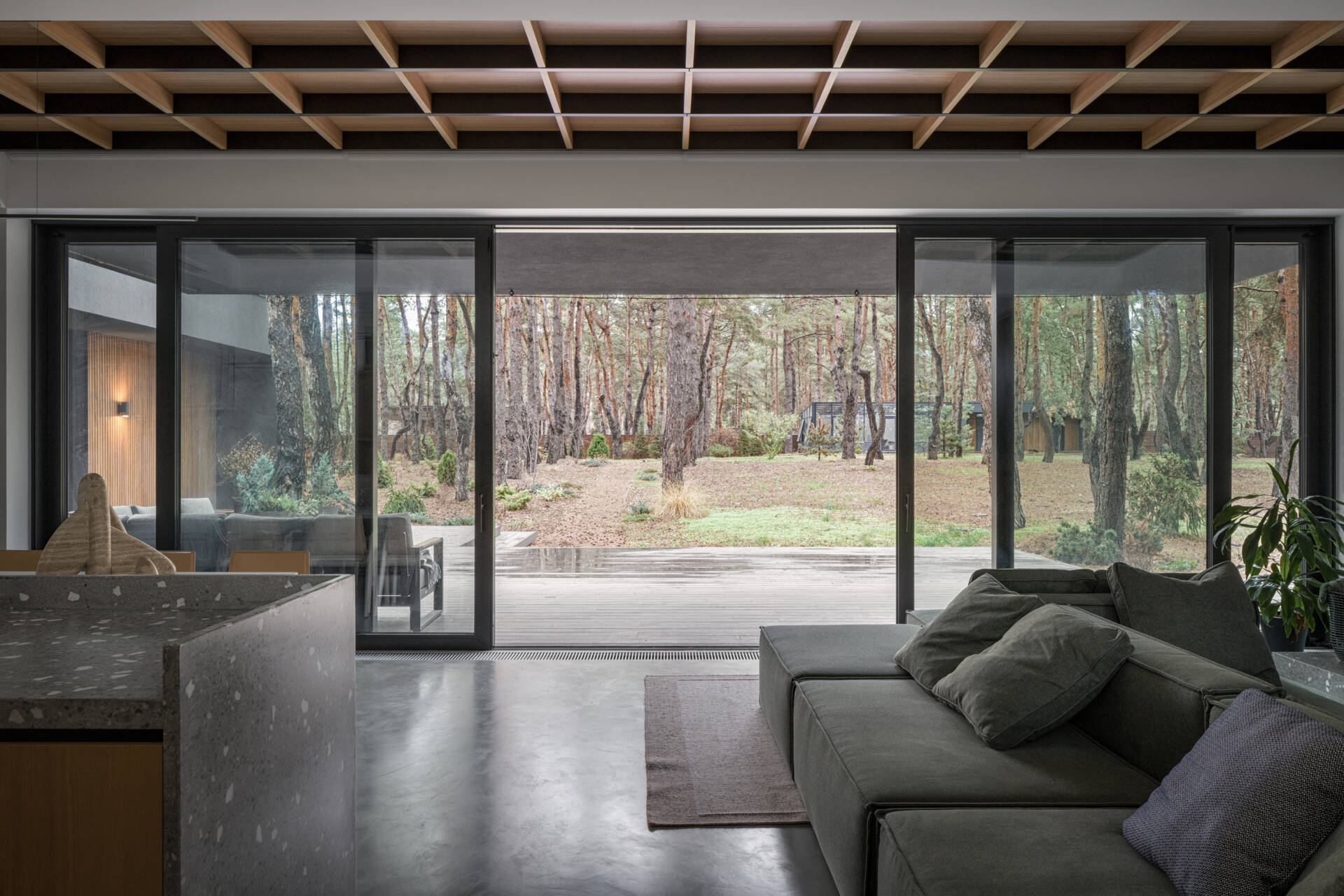 A light-filled living room with panoramic forest views, a fireplace, and large glazing that brings the outdoors into everyday life.