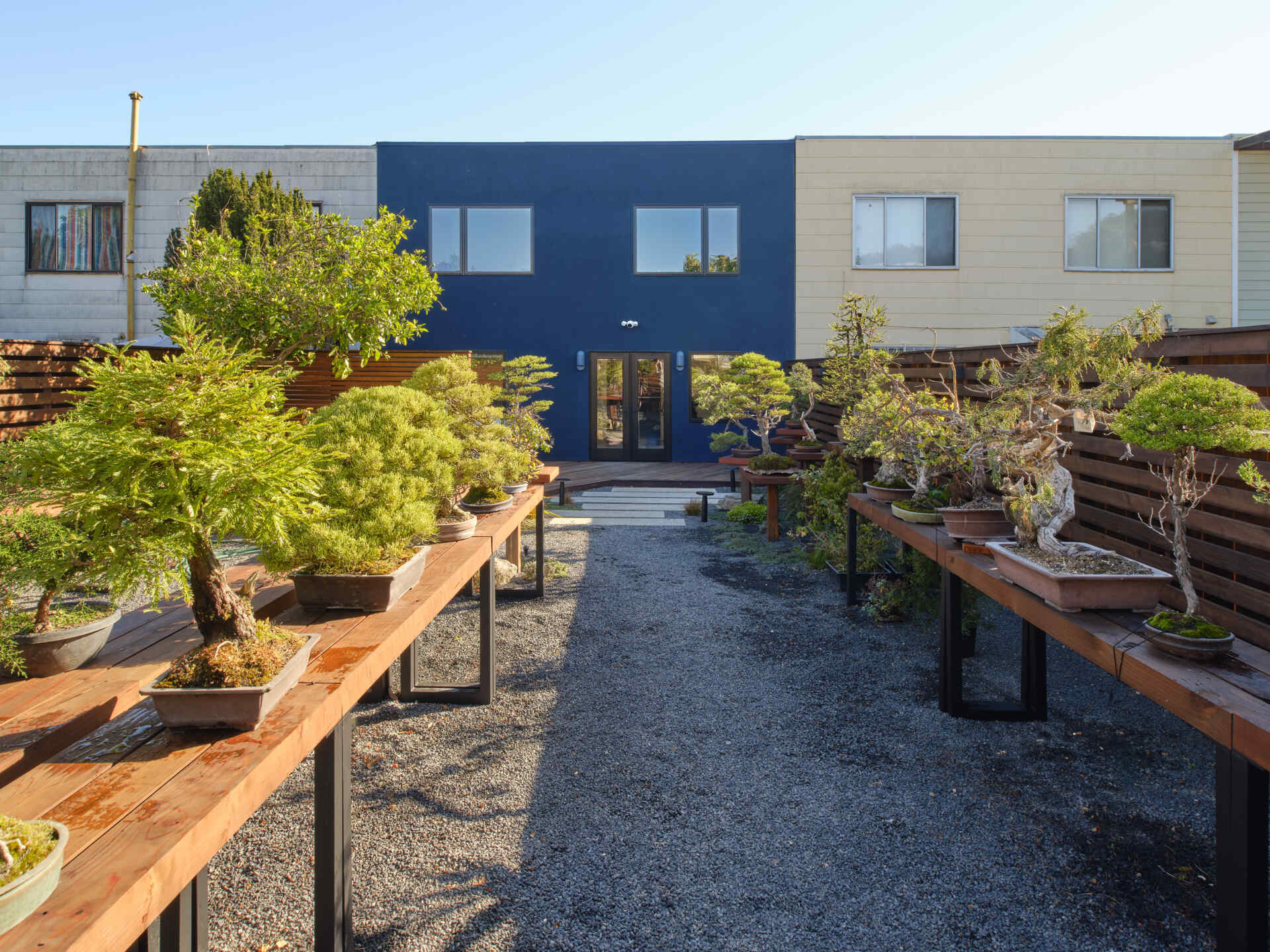 A renovated home with a bonsai workshop and garden.