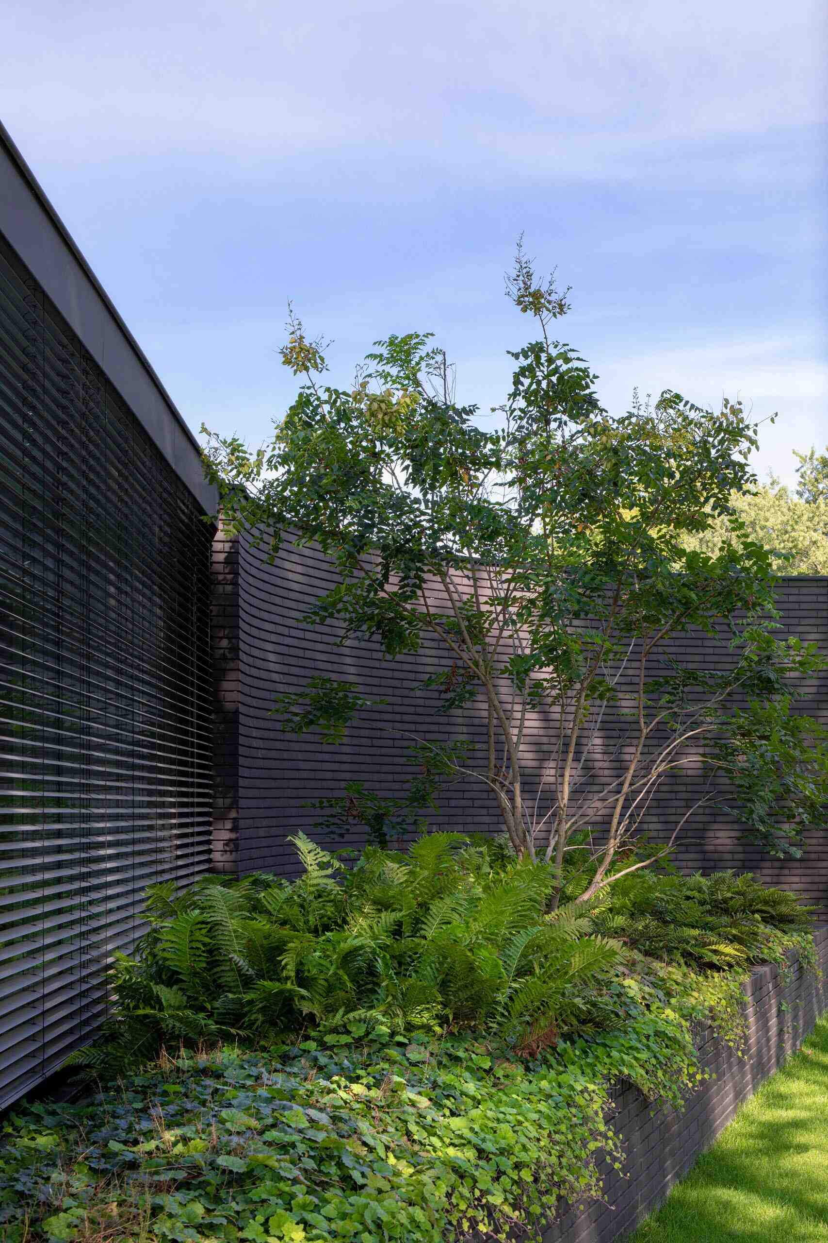 Las paredes curvas de ladrillo negro y las jardineras empotradas llenas de vegetación aportan una sensación audaz y natural a esta moderna villa holandesa.