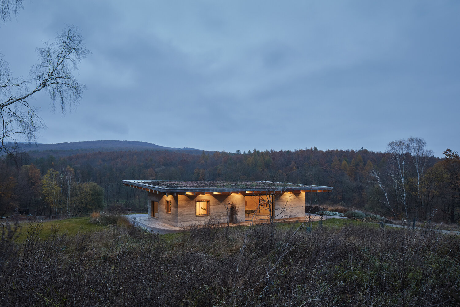 A modern forest cabin built with hempcrete walls, a timber frame, and a green roof, combines natural materials with sustainable design.