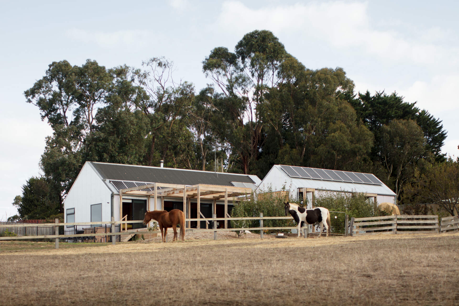 This Bellbrae home uses two separate pavilions connected by a large deck, creating privacy for guests while keeping a strong connection between spaces.