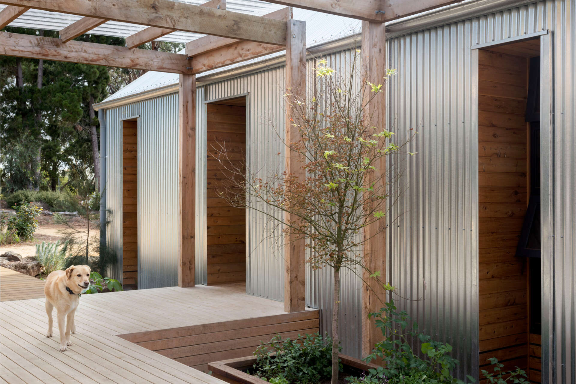 Corrugated galvanized steel cladding wraps this home, creating a low-maintenance exterior that gradually softens in appearance over time.