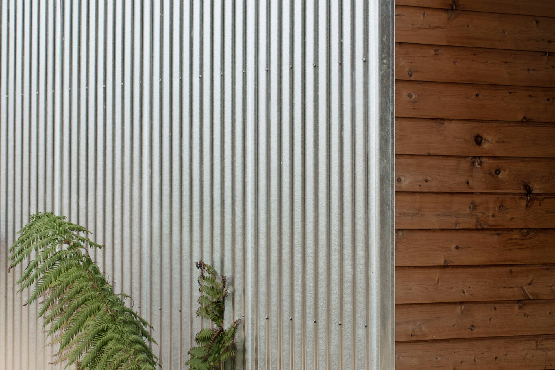 Corrugated galvanized steel cladding wraps this home, creating a low-maintenance exterior that gradually softens in appearance over time.