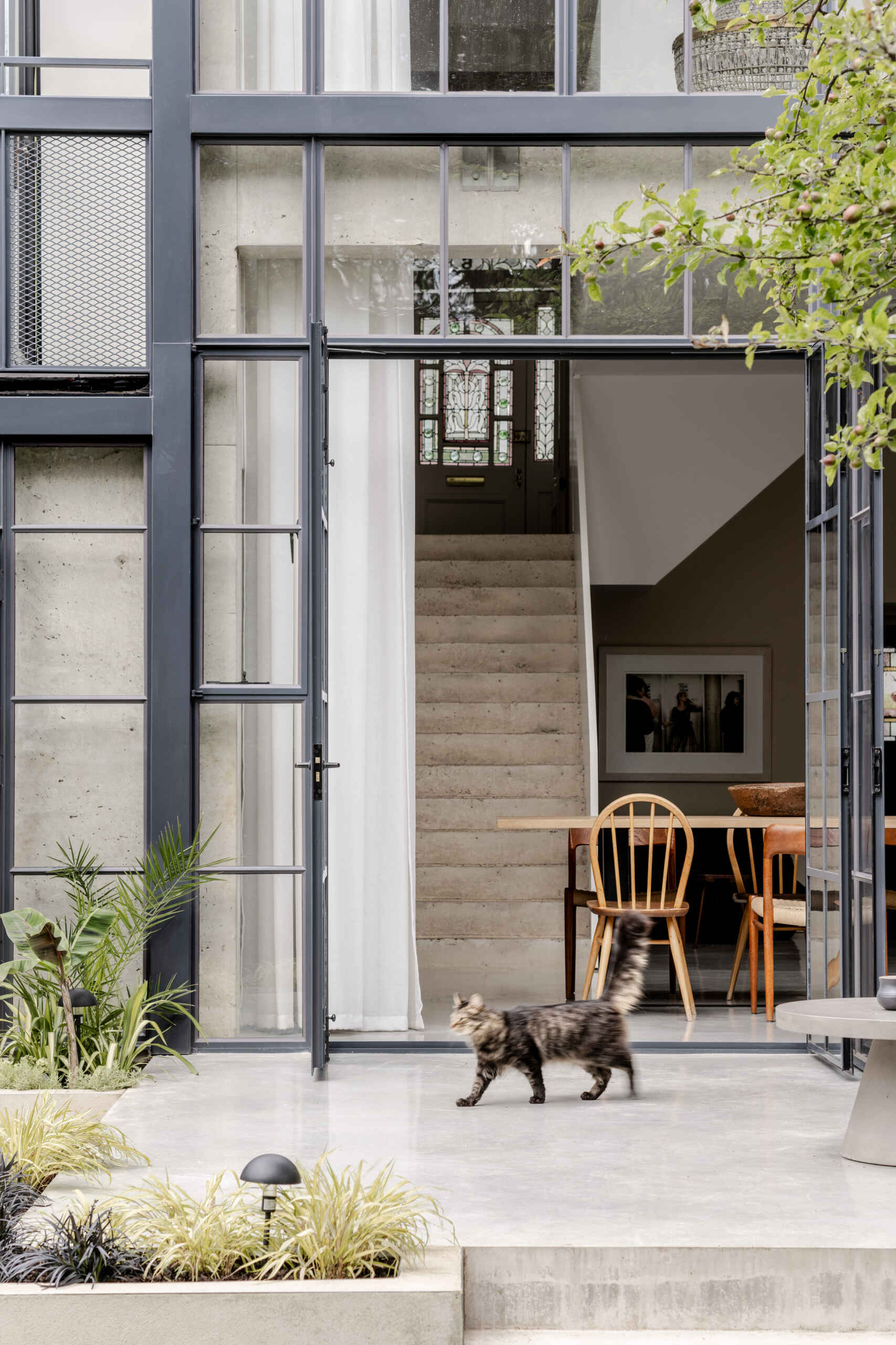 The architecture of House of Panes combines exposed concrete and slender steel glazing in a double-height extension, creating a contemporary addition that responds to the historic Edwardian terrace.