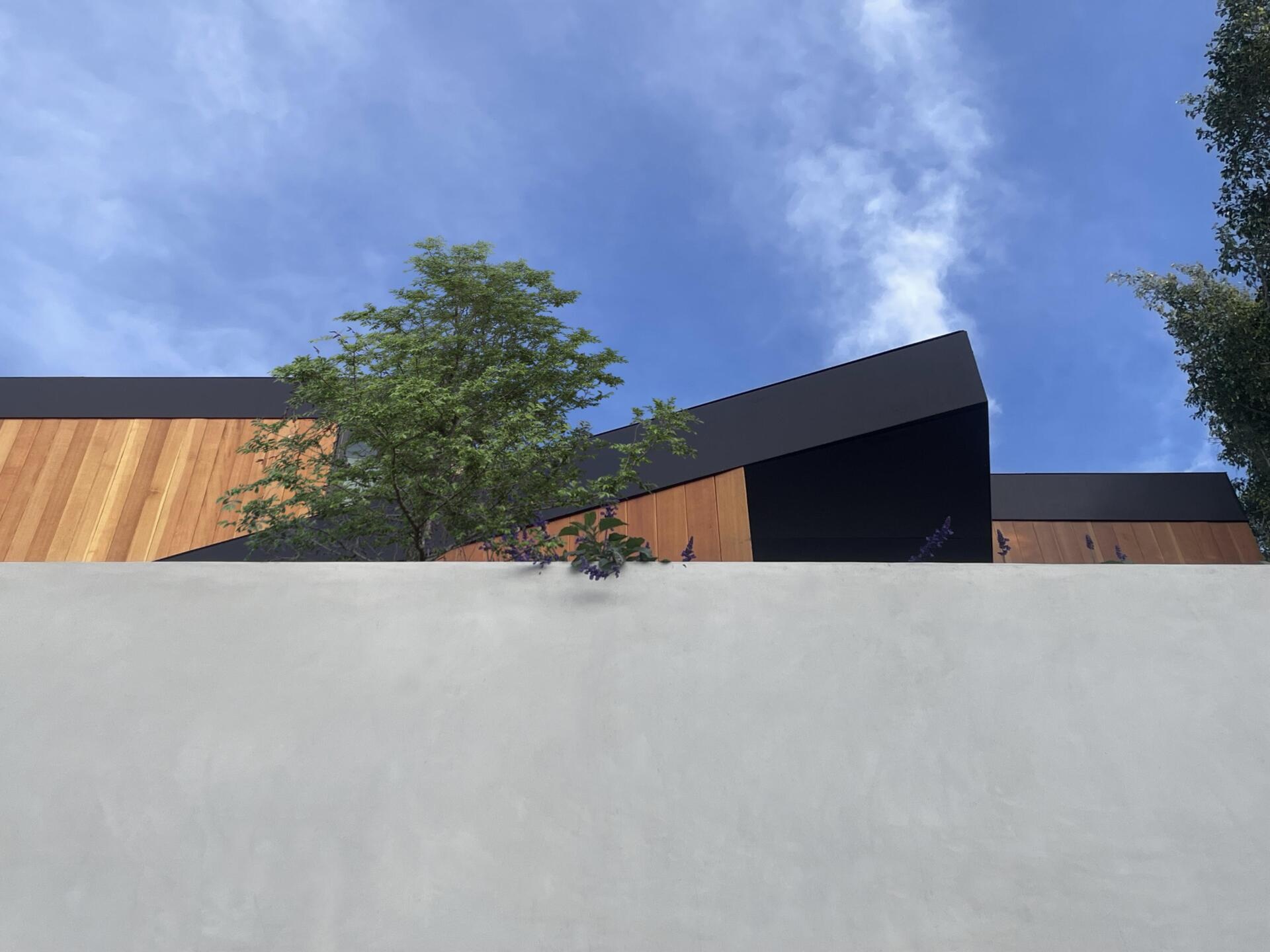 A steep Los Angeles hillside becomes a layered home where each level reveals something new.