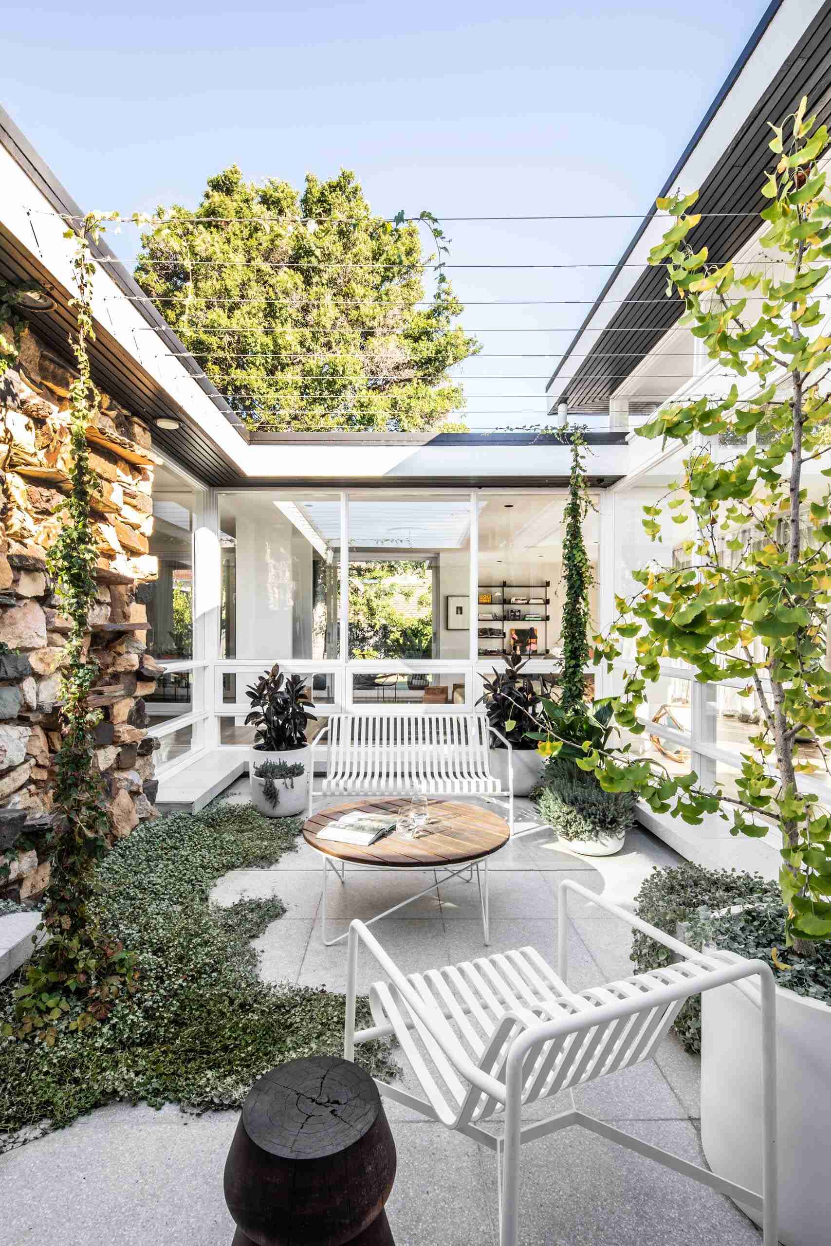 A bright courtyard sits at the center of this renovated mid-century home, surrounded by white walls, simple furniture, and planters that will eventually be shaded by vines.