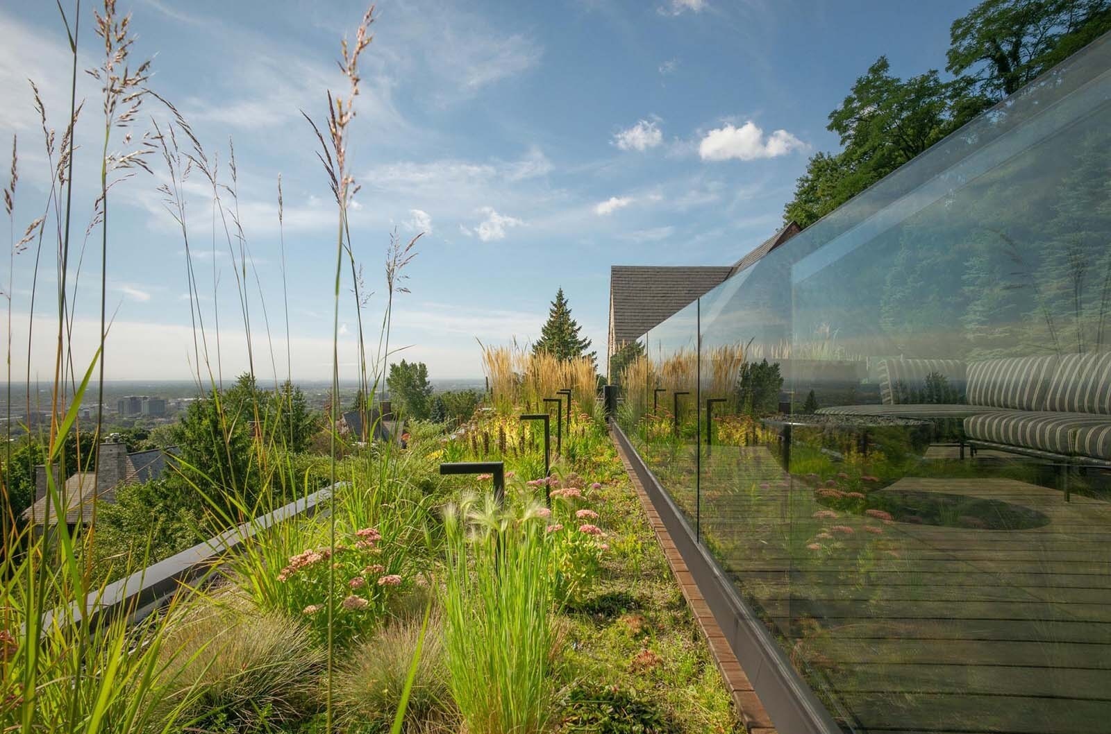 Wildflowers and layered planting bring a natural, slightly unruly feel to the rooftop’s clean architectural lines.