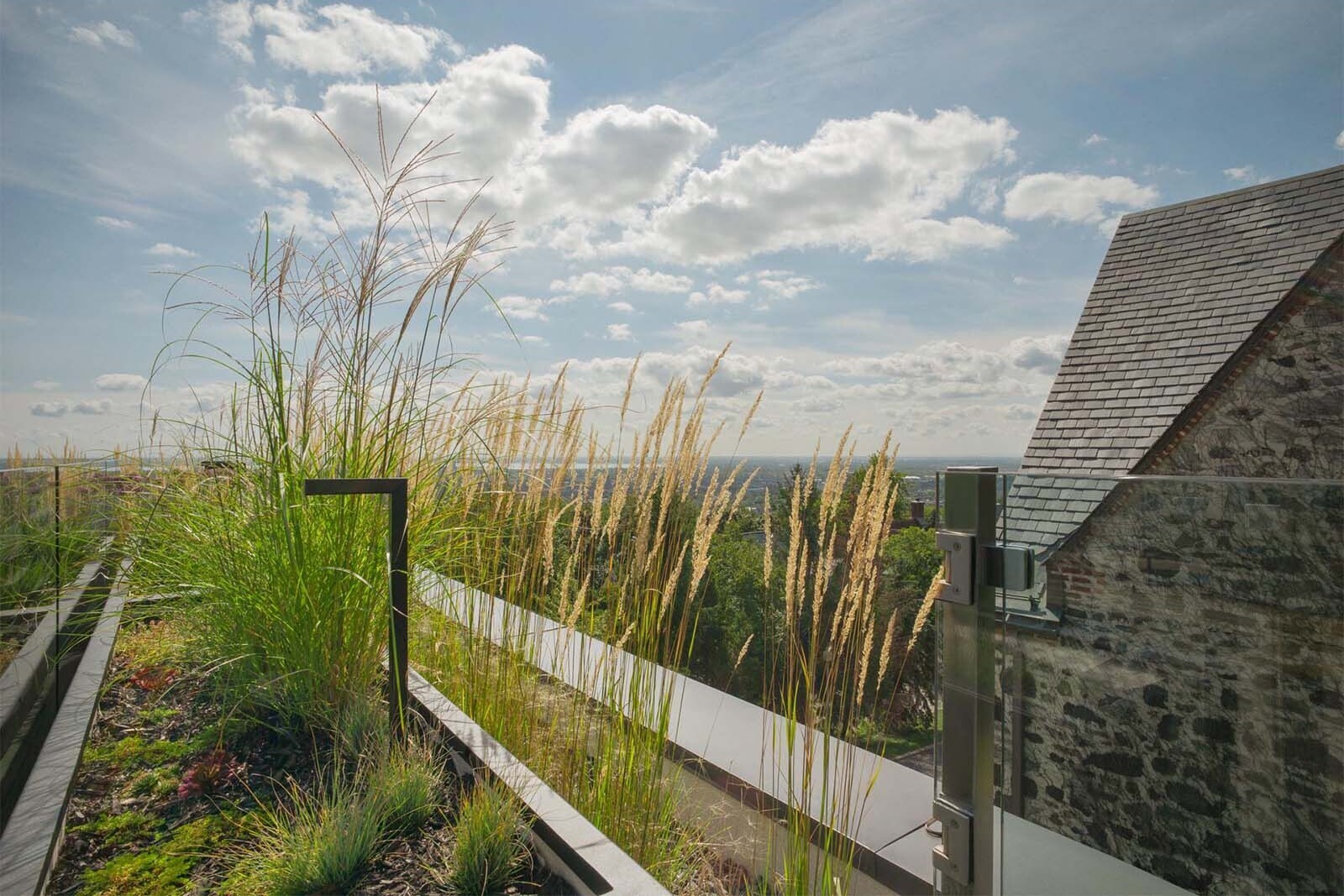 Wildflowers and layered planting bring a natural, slightly unruly feel to the rooftop’s clean architectural lines.
