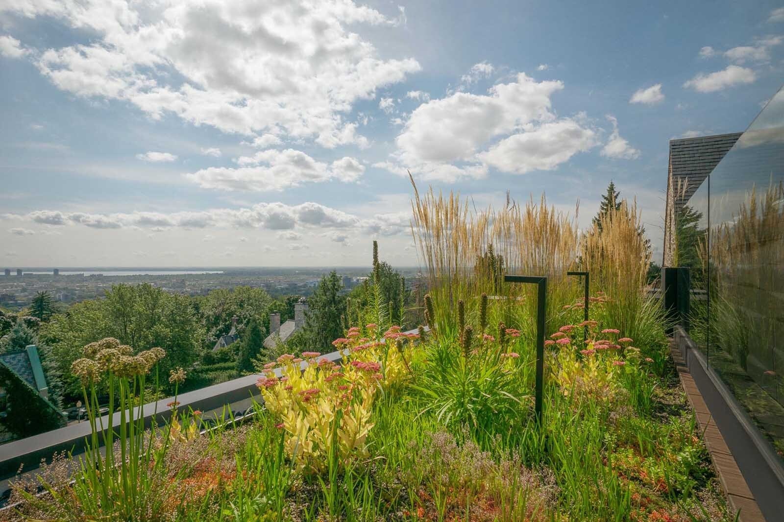 Minimal lighting transforms the rooftop at night, softly illuminating plants and creating a calm, inviting atmosphere.