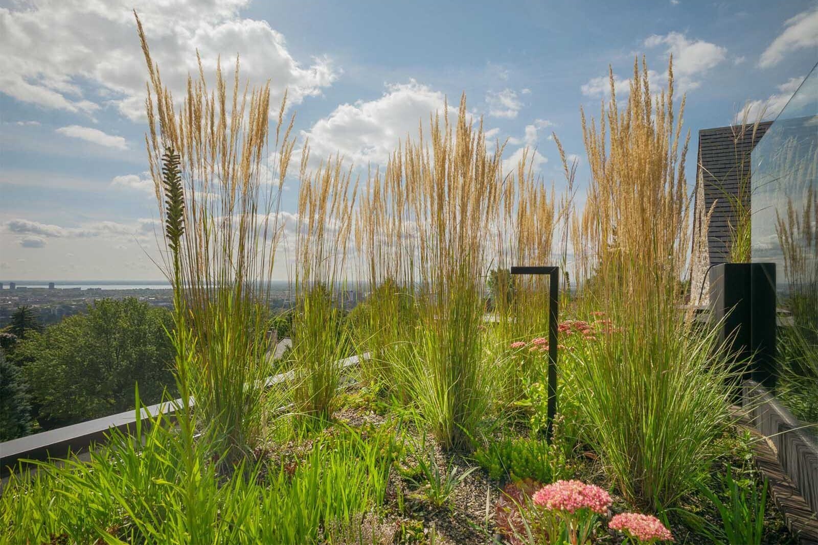Minimal lighting transforms the rooftop at night, softly illuminating plants and creating a calm, inviting atmosphere.