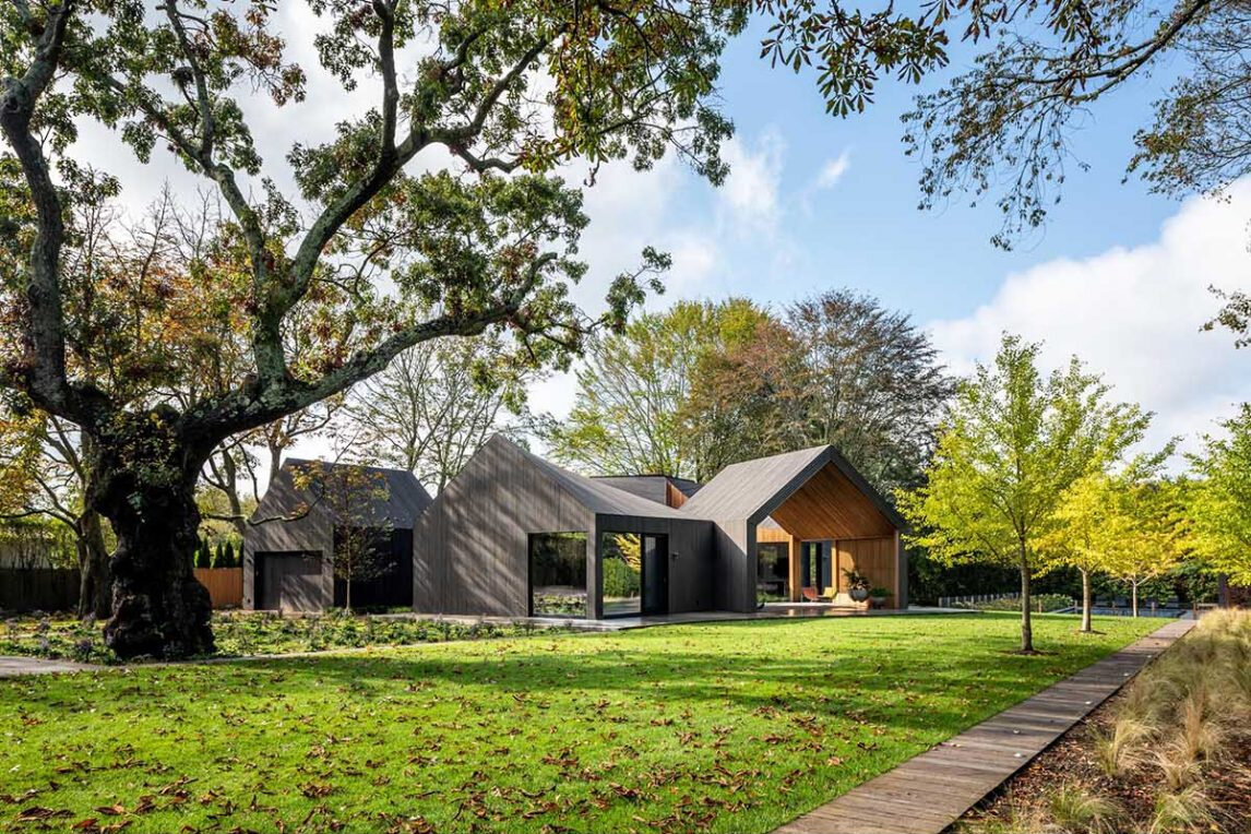 Deep gray Accoya wood cladding gives this modern home a bold exterior, with textured slats that highlight its sculptural roofline.