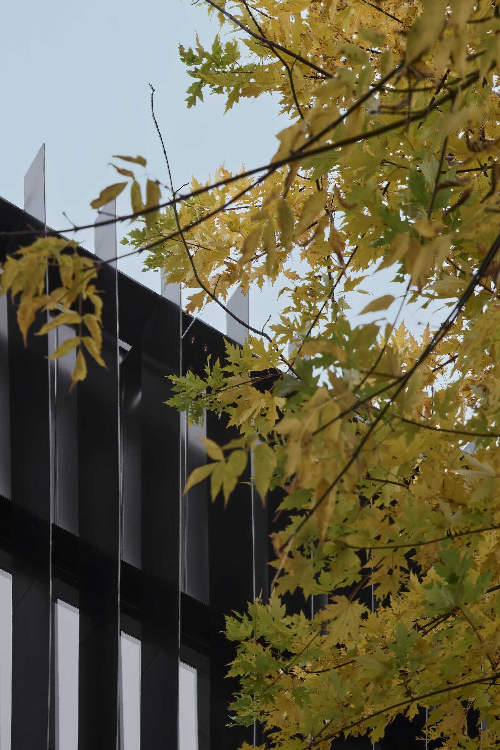 A modern rear extension adds an elevator and staircase, transforming how every level of this home is accessed.