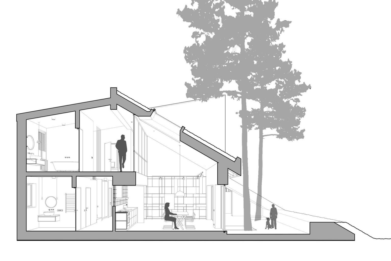 Explore how the home works through sections and plans that reveal its sloping roof, smart layout, and seamless connection to the land.