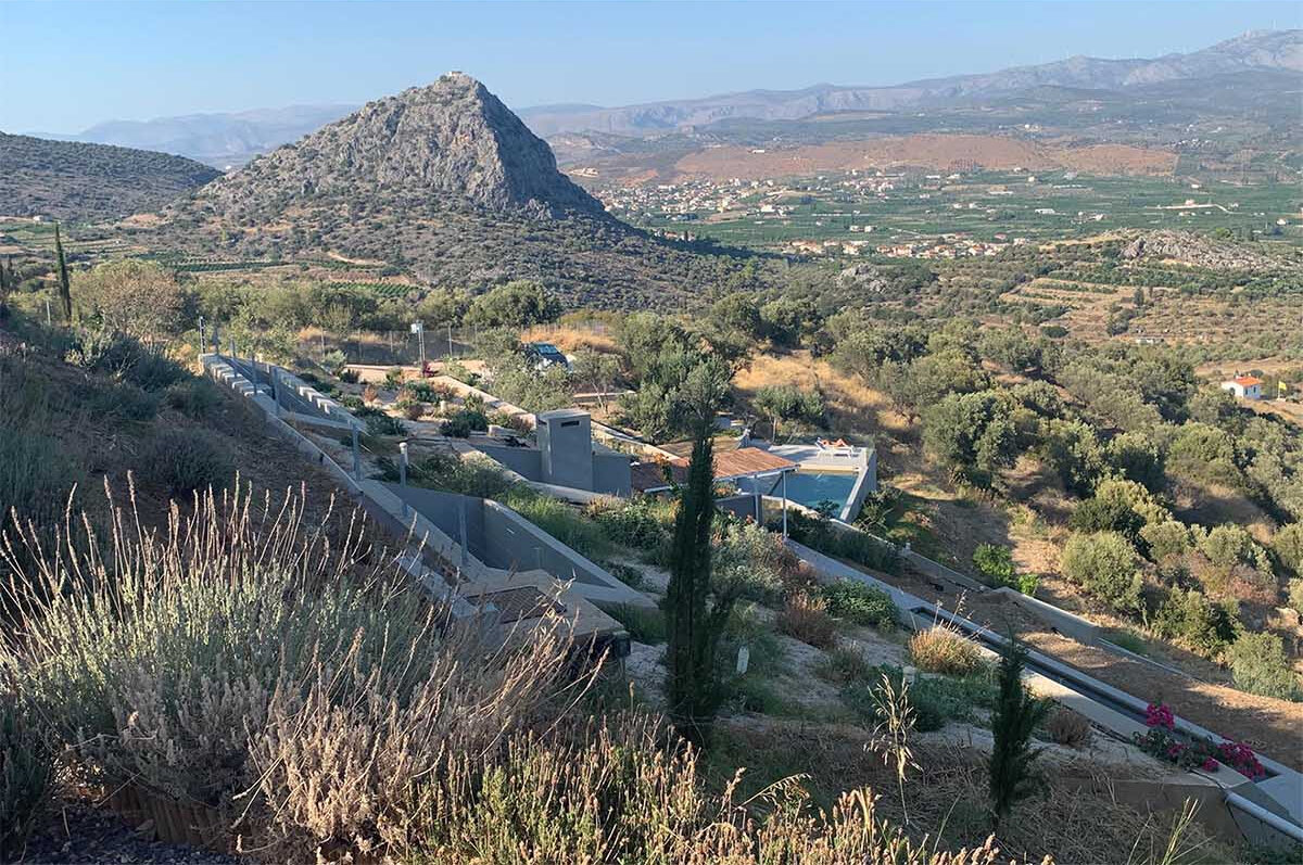 Planted roofs, olive trees, and layered terraces with pools create a seamless outdoor flow across this Greek hillside.