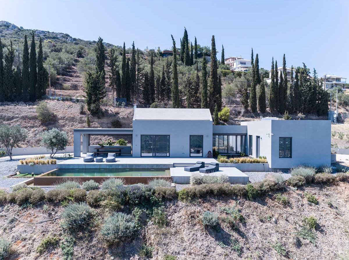 Planted roofs, olive trees, and layered terraces with pools create a seamless outdoor flow across this Greek hillside.