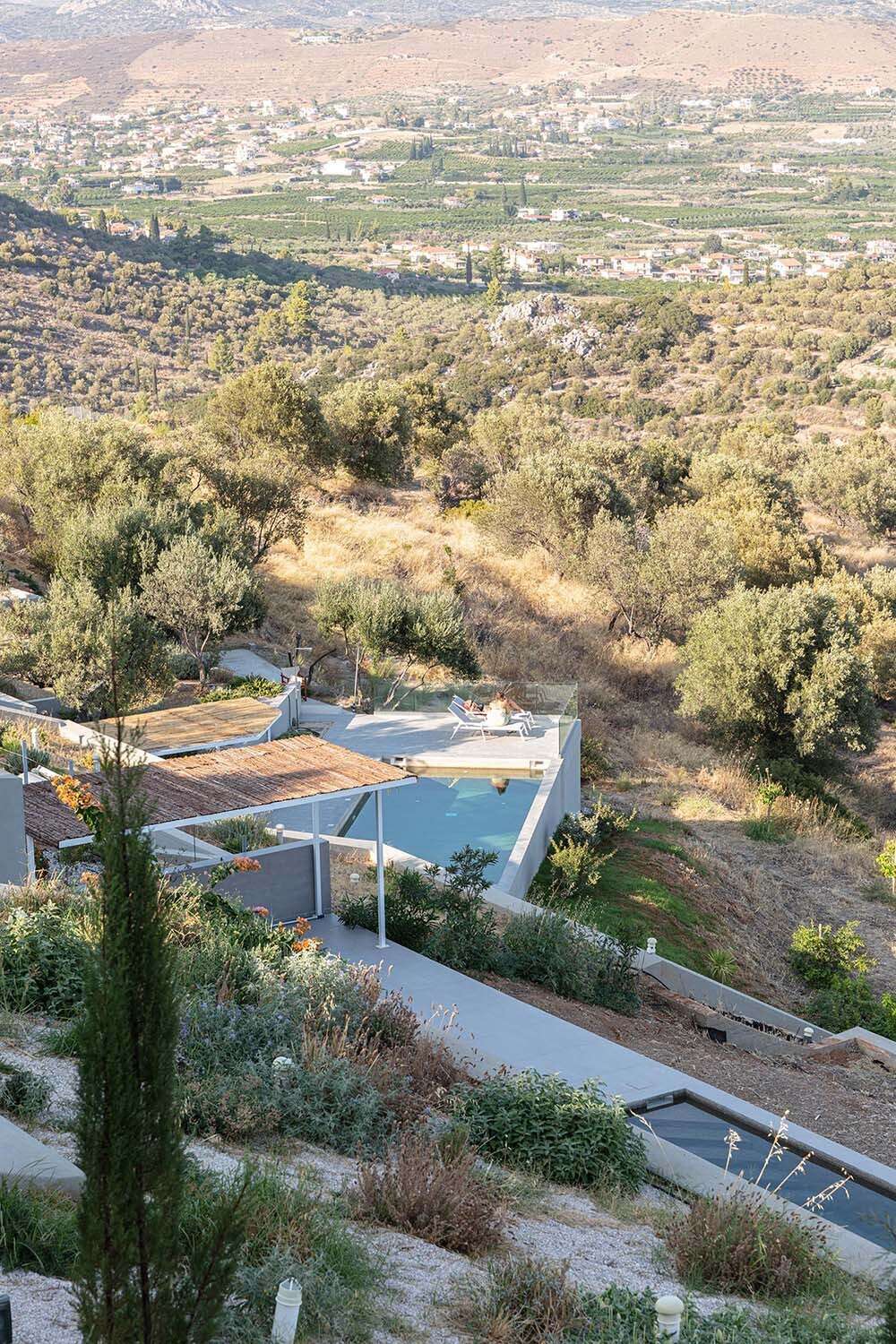 Planted roofs, olive trees, and layered terraces with pools create a seamless outdoor flow across this Greek hillside.