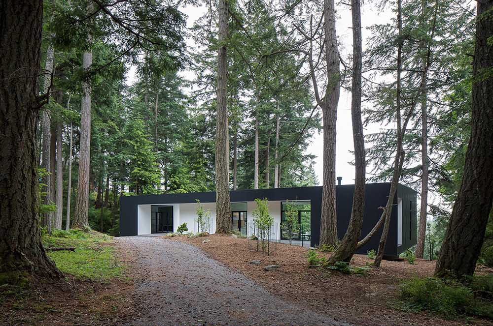 Black metal and white stucco create a striking modern exterior for this Orcas Island home, set against forest views.