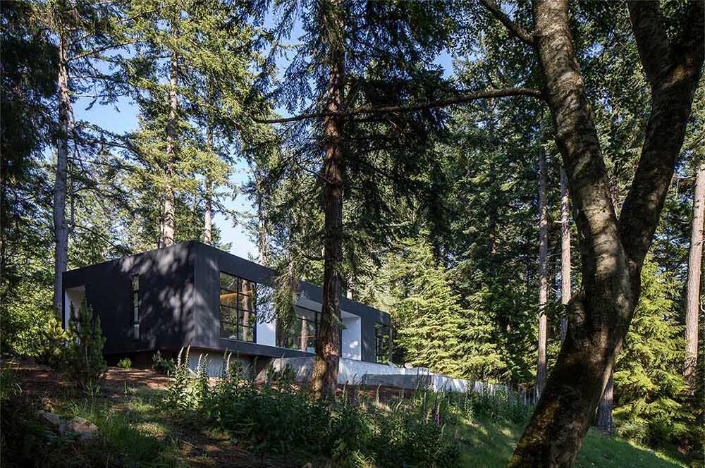 Black metal and white stucco create a striking modern exterior for this Orcas Island home, set against forest views.