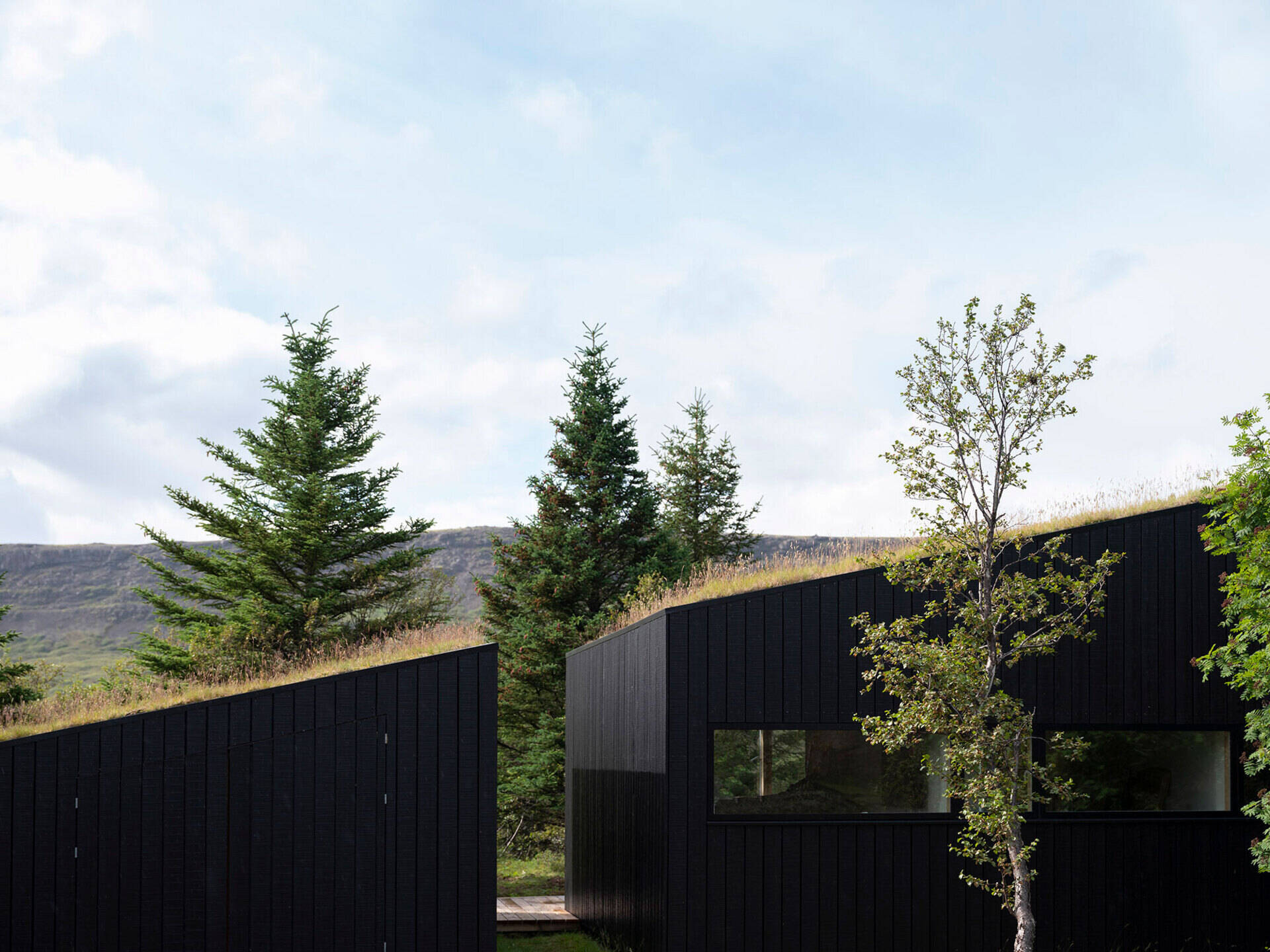Blackened wood siding contrasts beautifully with the green roof and surrounding forest in this modern Iceland retreat.