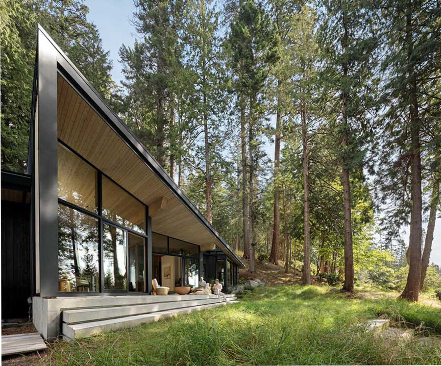 A modern cedar cabin in Halfmoon Bay designed to preserve every existing tree, blending architecture with untouched forest surroundings.