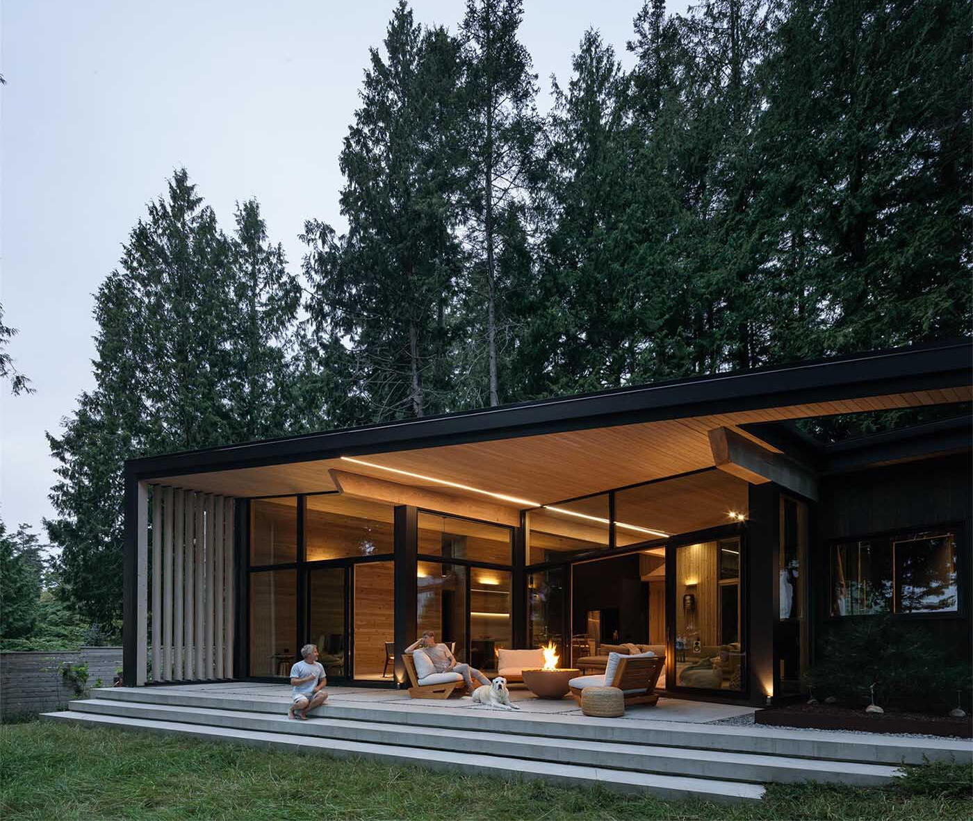 A modern cedar cabin in Halfmoon Bay designed to preserve every existing tree, blending architecture with untouched forest surroundings.