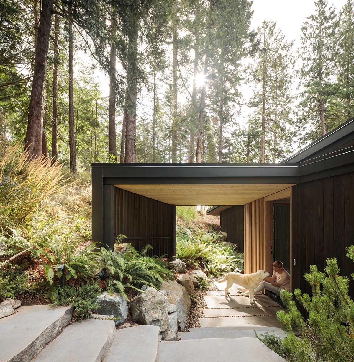 A forest pathway lined with boulders and ferns leads to a cedar-clad cabin, creating a natural and inviting entrance experience.