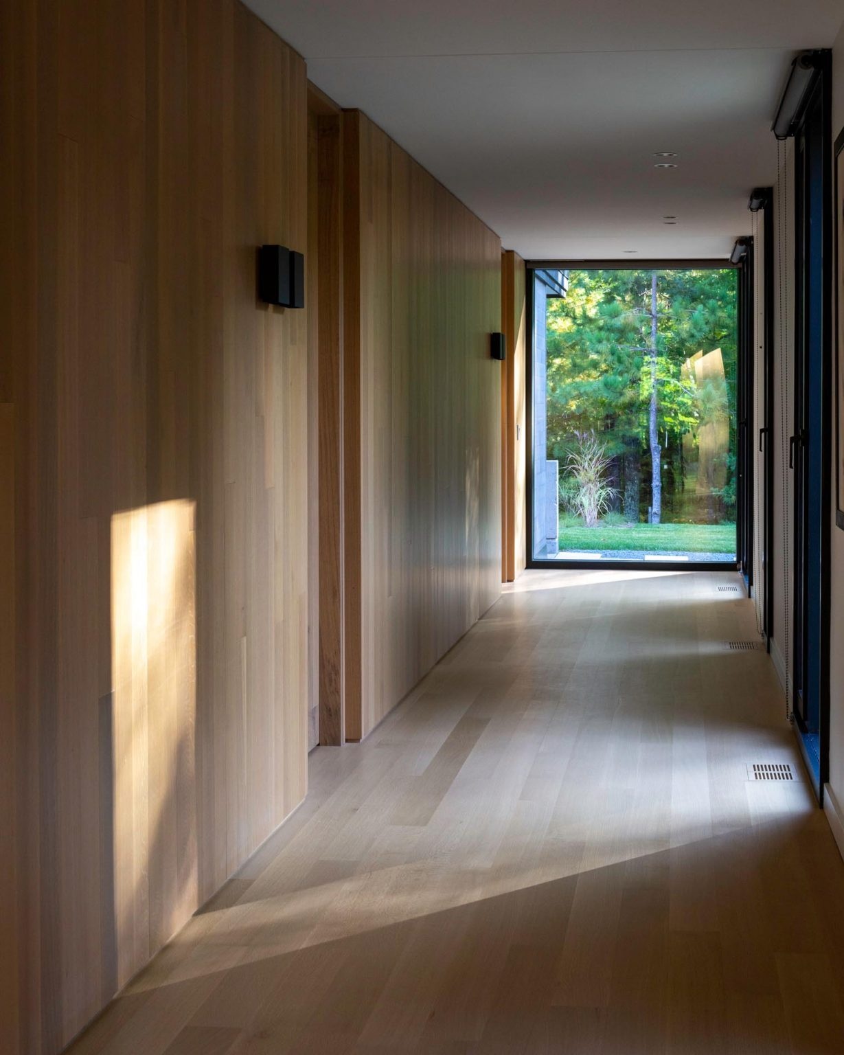 Pasillo lleno de luz en un hotel moderno con ventanas con marcos negros que ofrecen vistas al bosque.