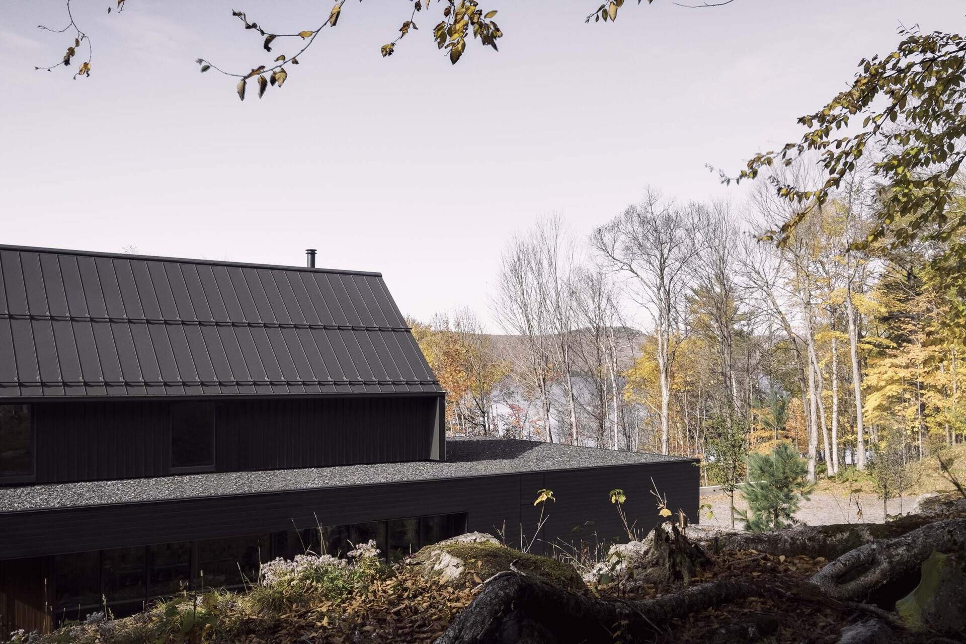 This modern lakeside home uses an all-black exterior with horizontal and vertical siding to create a bold yet balanced look in nature.