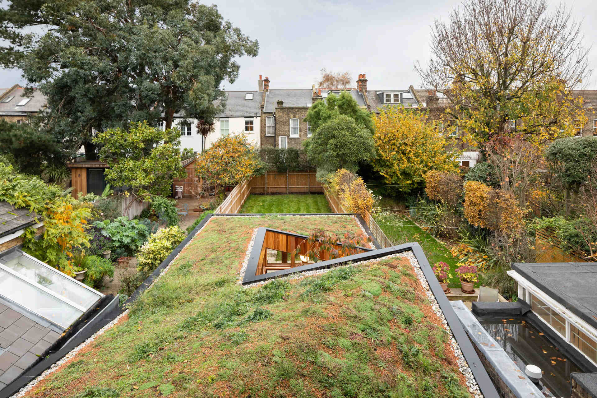 A modern wood extension with a green roof opens a Georgian home to the backyard with large folding glass doors.