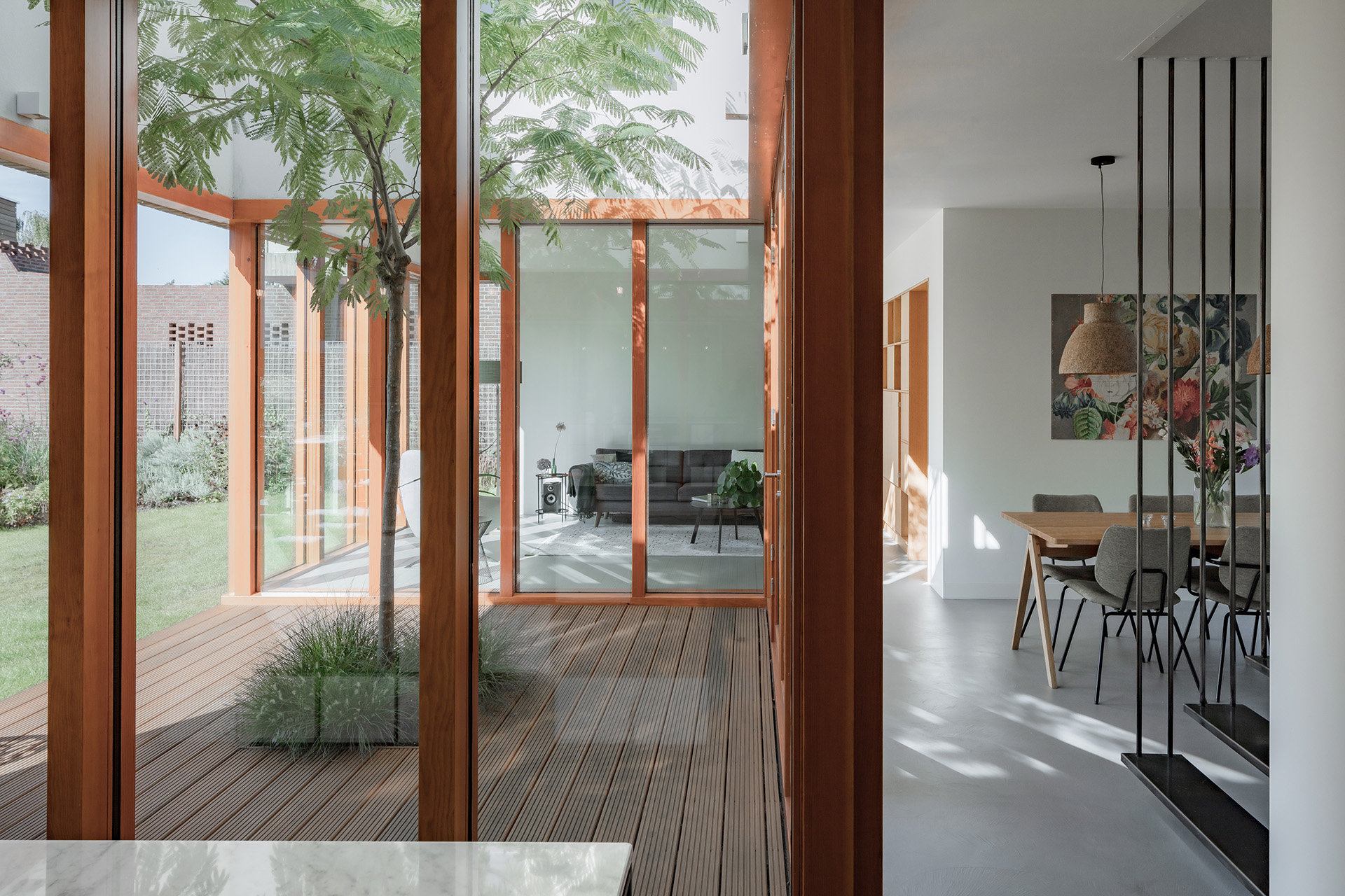 A central courtyard with a tall tree and timber deck becomes the heart of this home, wrapped in glass and filled with light.