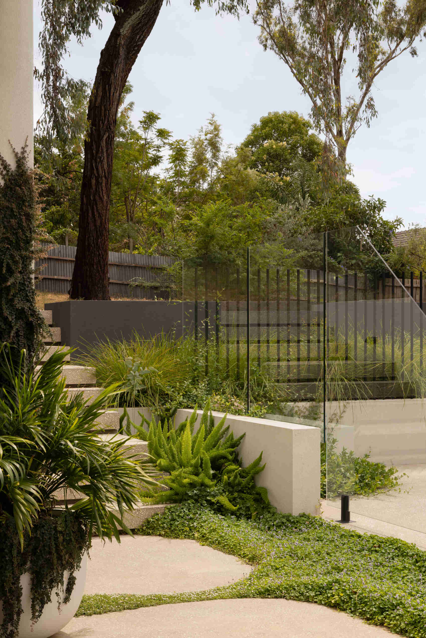 The surrounding landscape plays a key role in shaping the experience of the house. Mature trees and greenery influenced window placement, views, and light, while steps connect the pool and alfresco level with the elevated section of the garden.