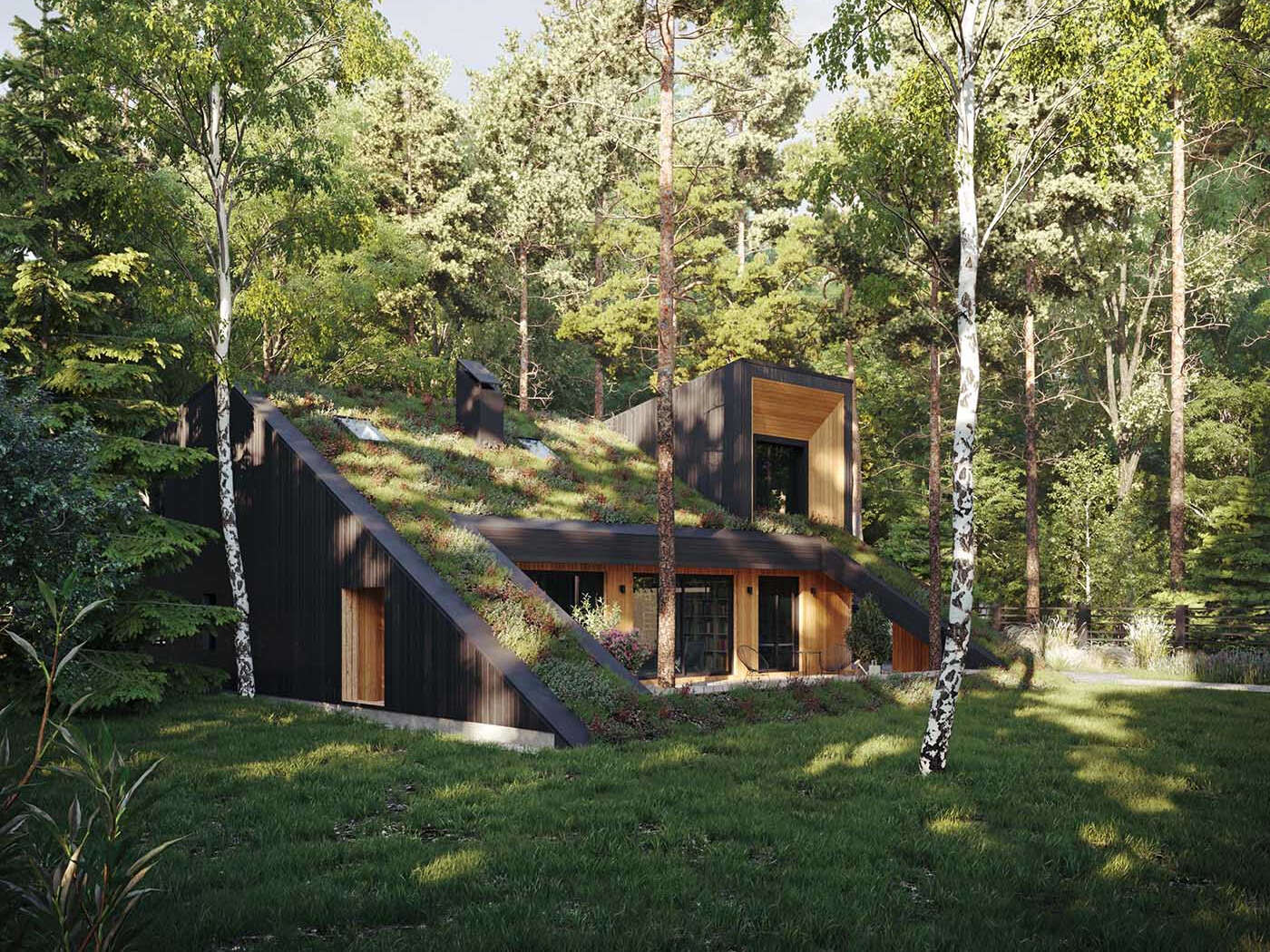 This sloping green roof transforms the home into part of the terrain, covered in a living carpet of stonecrop and chamomile-style plants that shift with the seasons.