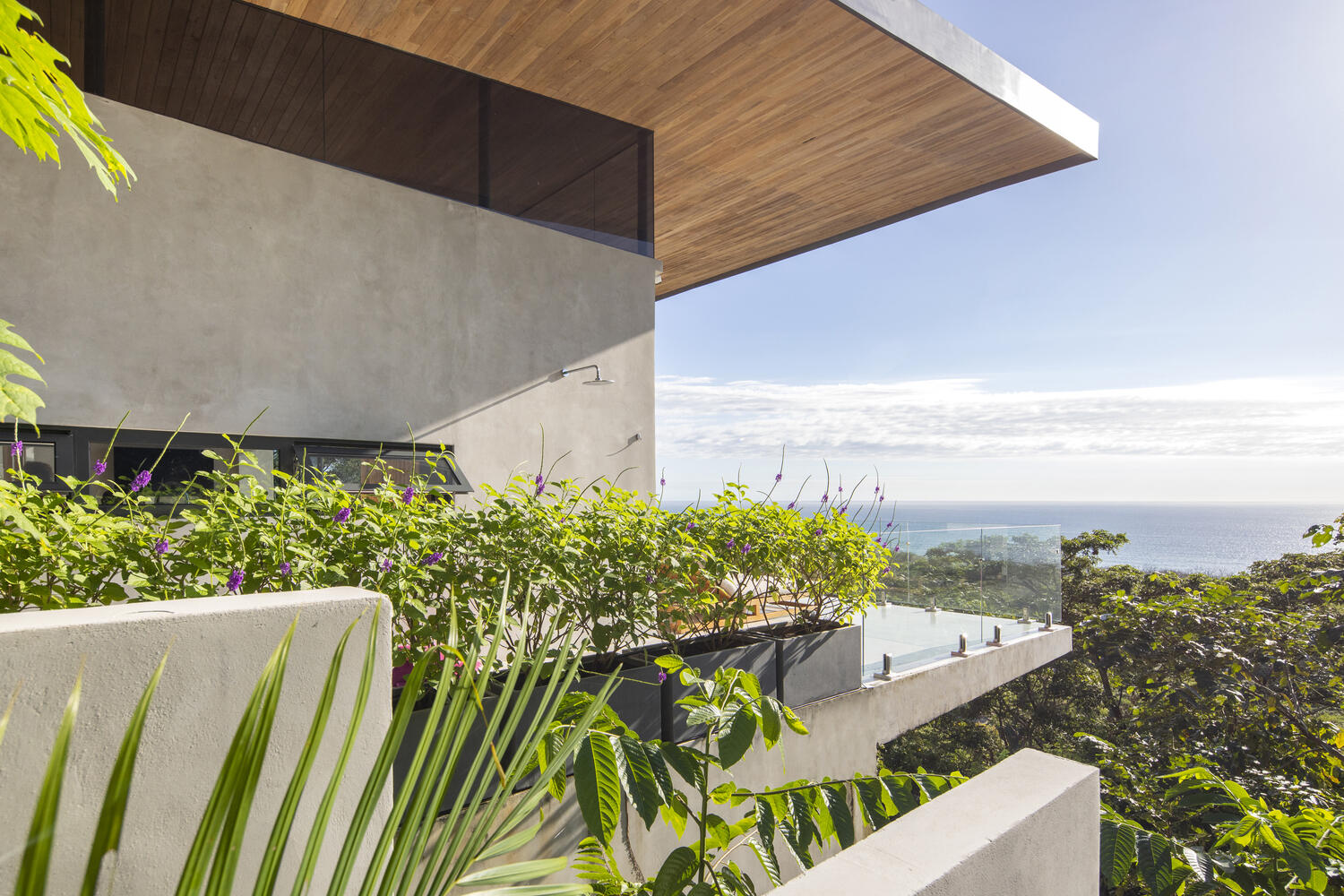 A sweeping wood-lined roof that protects the home, frames the pool, and helps keep the interior cool in a tropical climate.