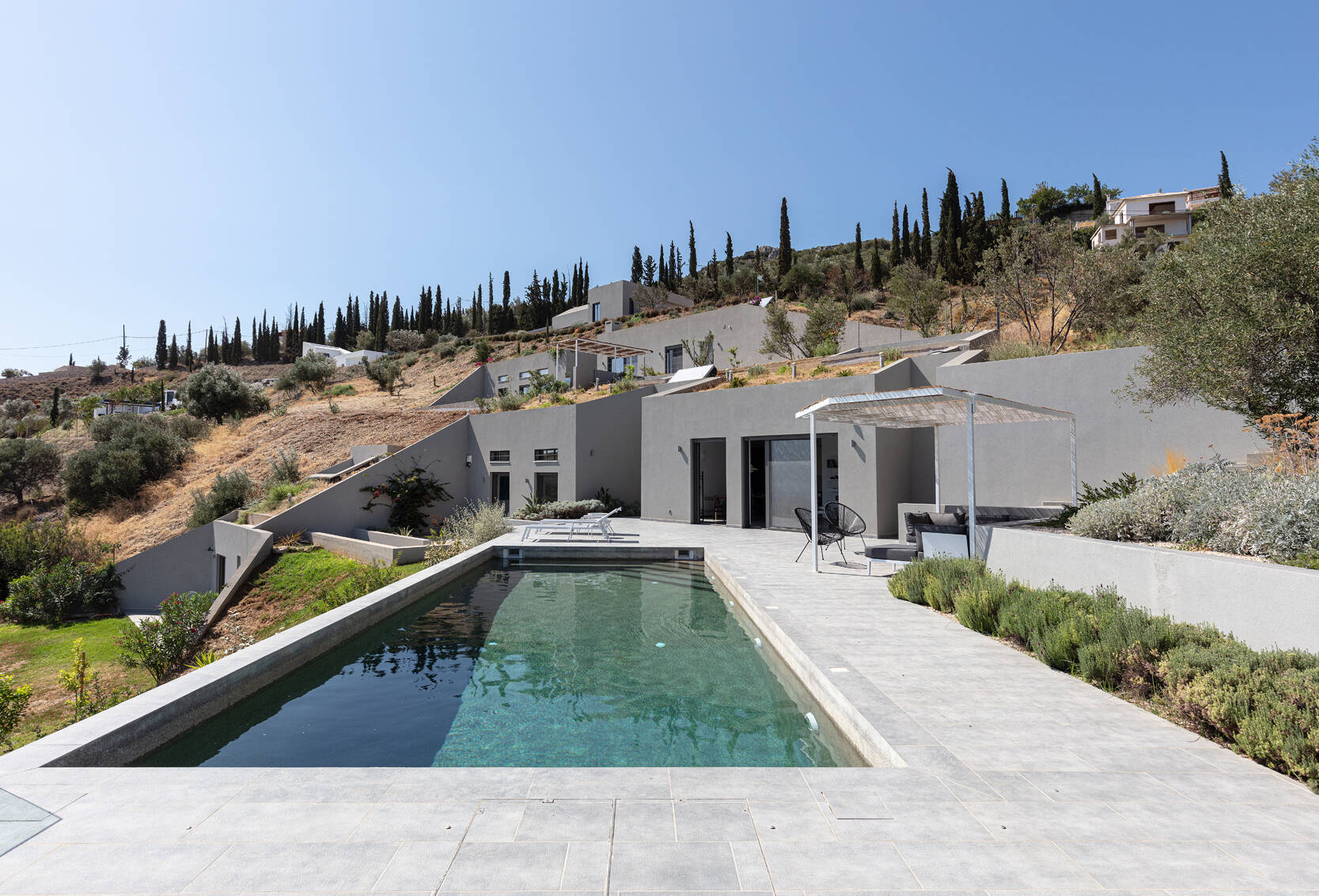 Planted roofs, olive trees, and layered terraces with pools create a seamless outdoor flow across this Greek hillside.