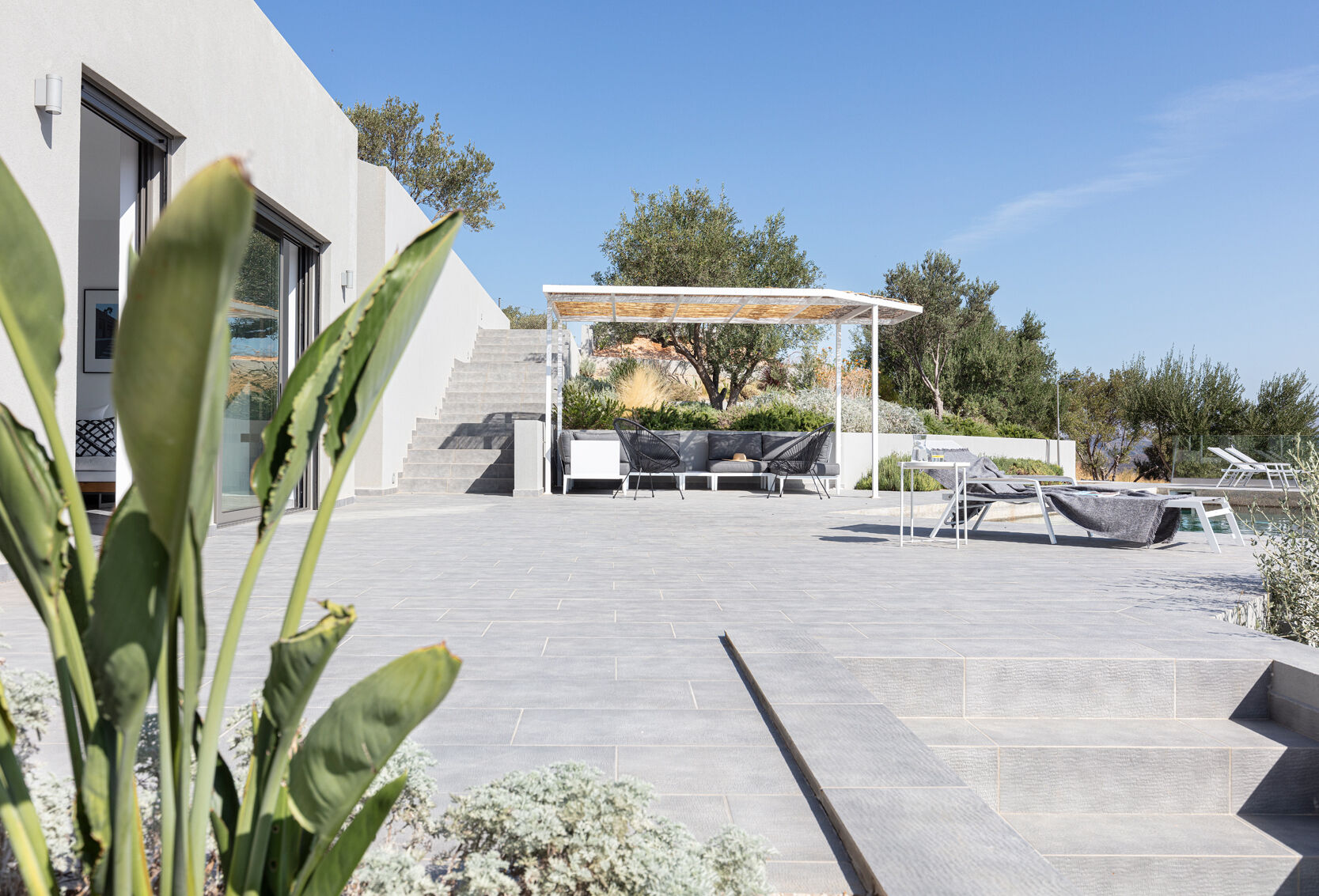 Planted roofs, olive trees, and layered terraces with pools create a seamless outdoor flow across this Greek hillside.