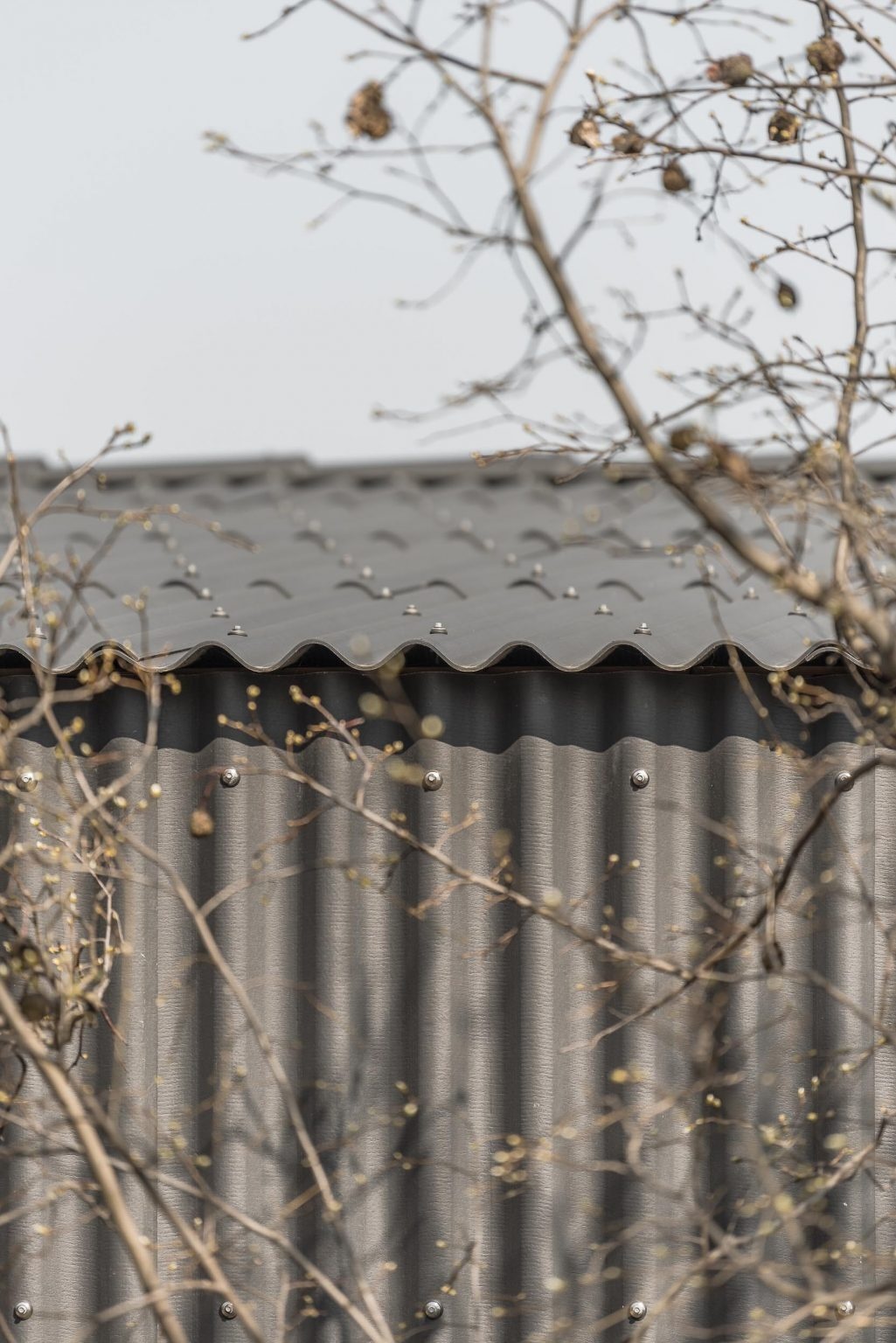 Black corrugated fiber-cement siding gives this Hungarian home its bold industrial look while creating a durable exterior that continues seamlessly across the roof.