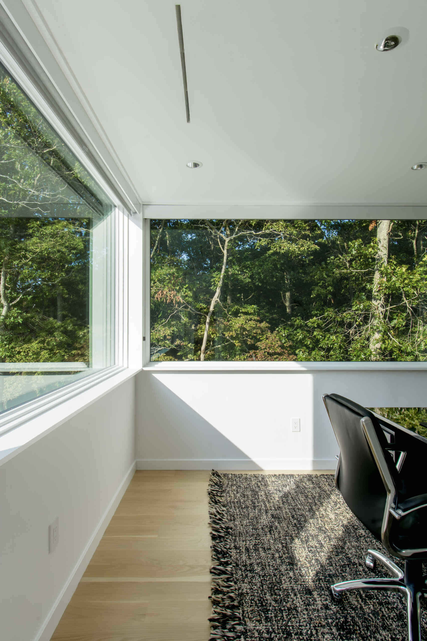 Large windows and minimal interiors create a calm modern workspace surrounded by trees.