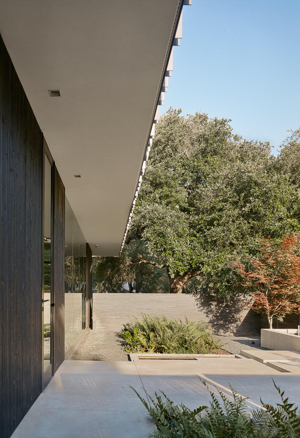 Tour the bold exterior of Tarrytown Residence, where black brick, ebony-stained cedar, custom steel detailing, and expansive glass walls create a contemporary architectural statement in Austin, Texas.