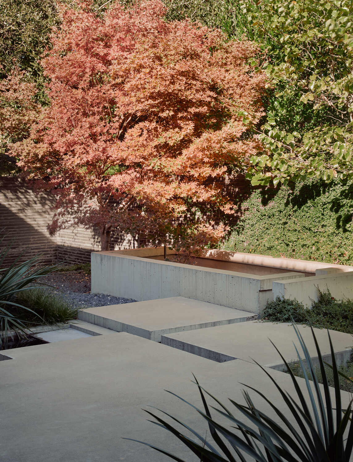 Tour the bold exterior of Tarrytown Residence, where black brick, ebony-stained cedar, custom steel detailing, and expansive glass walls create a contemporary architectural statement in Austin, Texas.