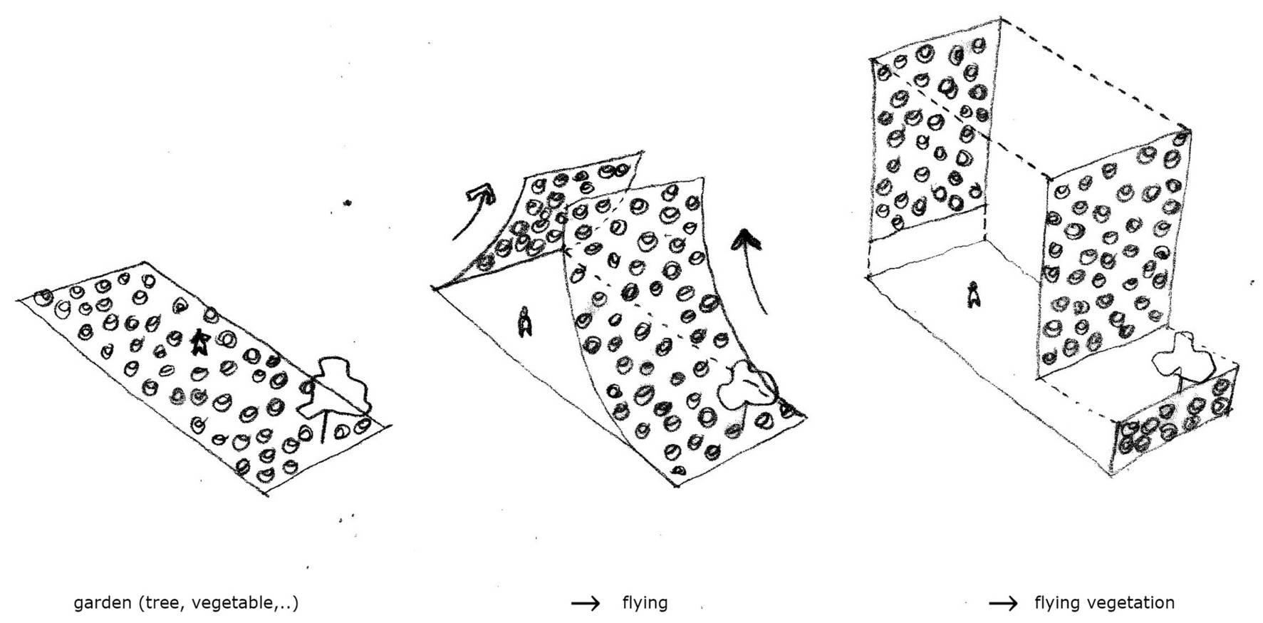 The drawings reveal how the planting system, structure, and layout work together. They show the modular logic behind the facade and the way each level is organized to support both living and growing.